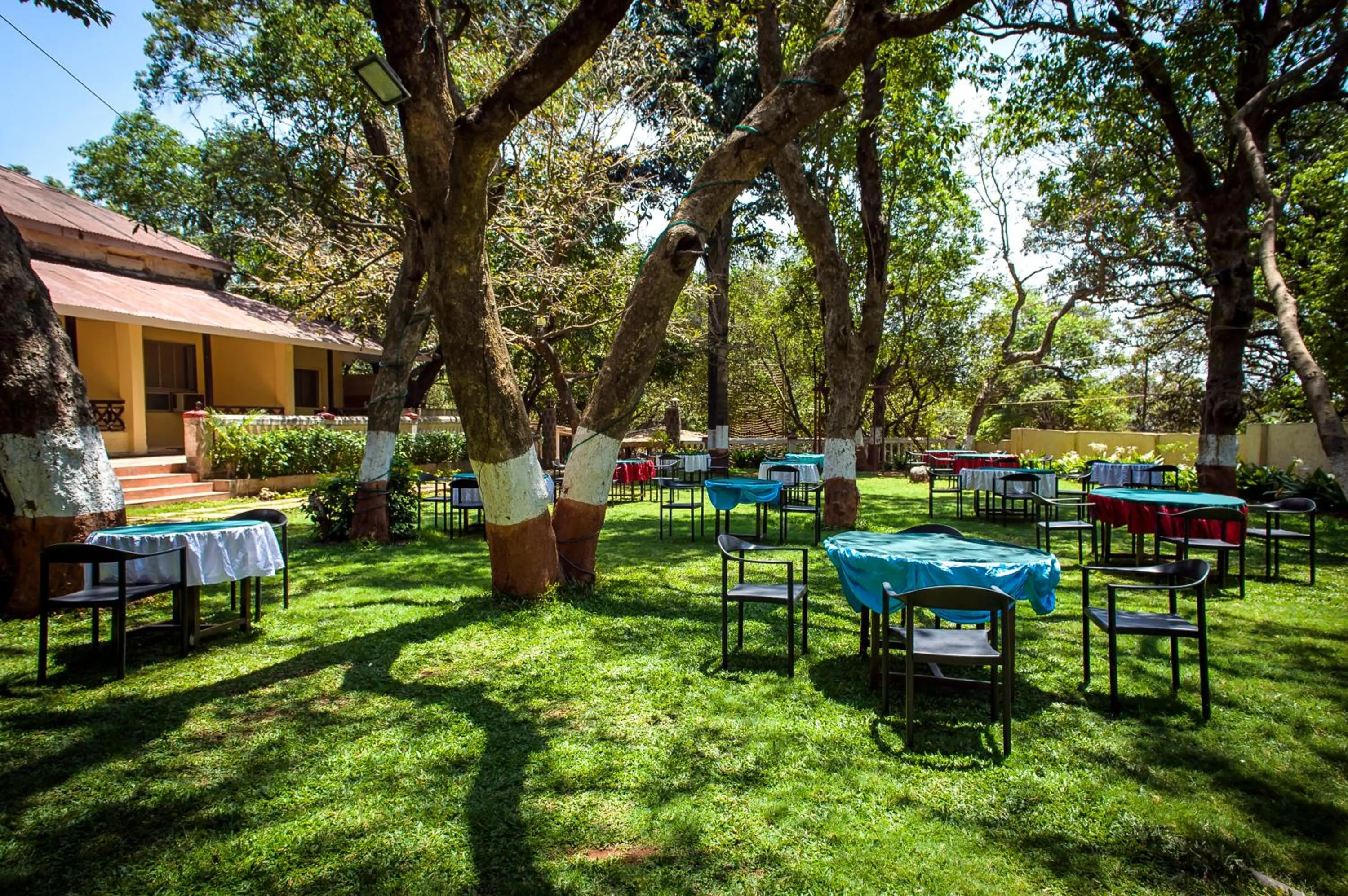 Restaurant/places to eat in Adamo The Village