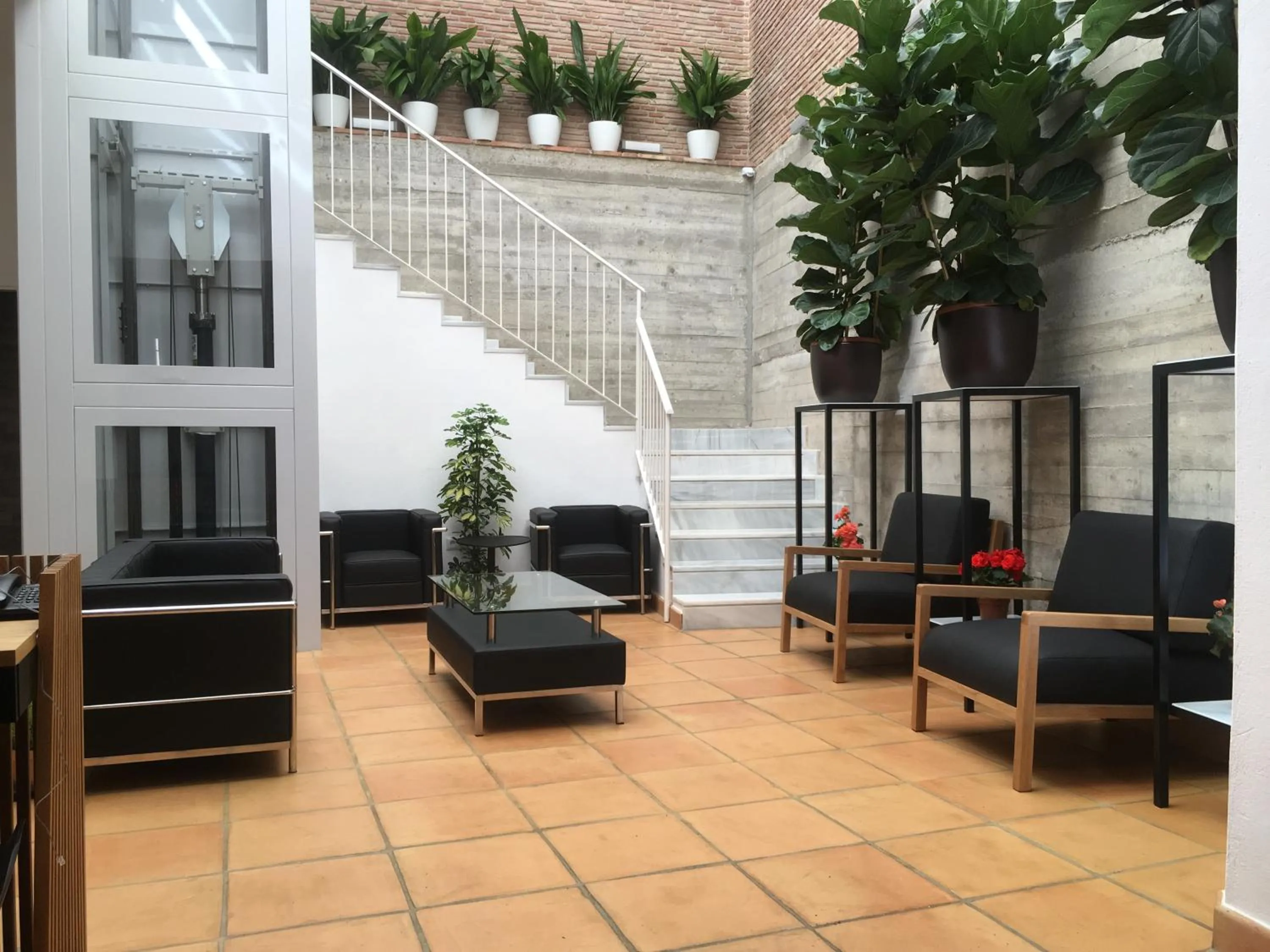 Patio in Hotel Ronda Nuevo