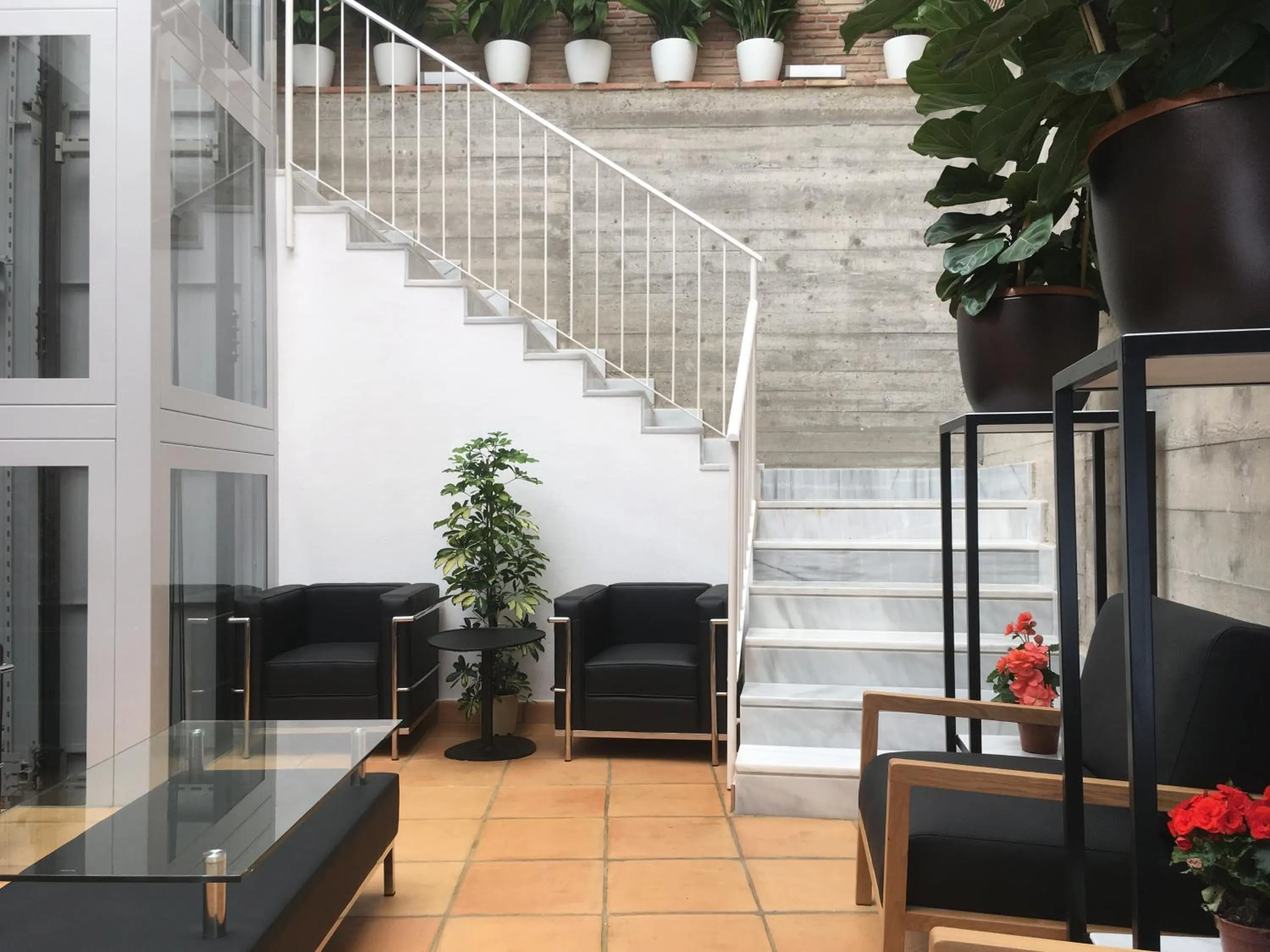 Lobby or reception in Hotel Ronda Nuevo