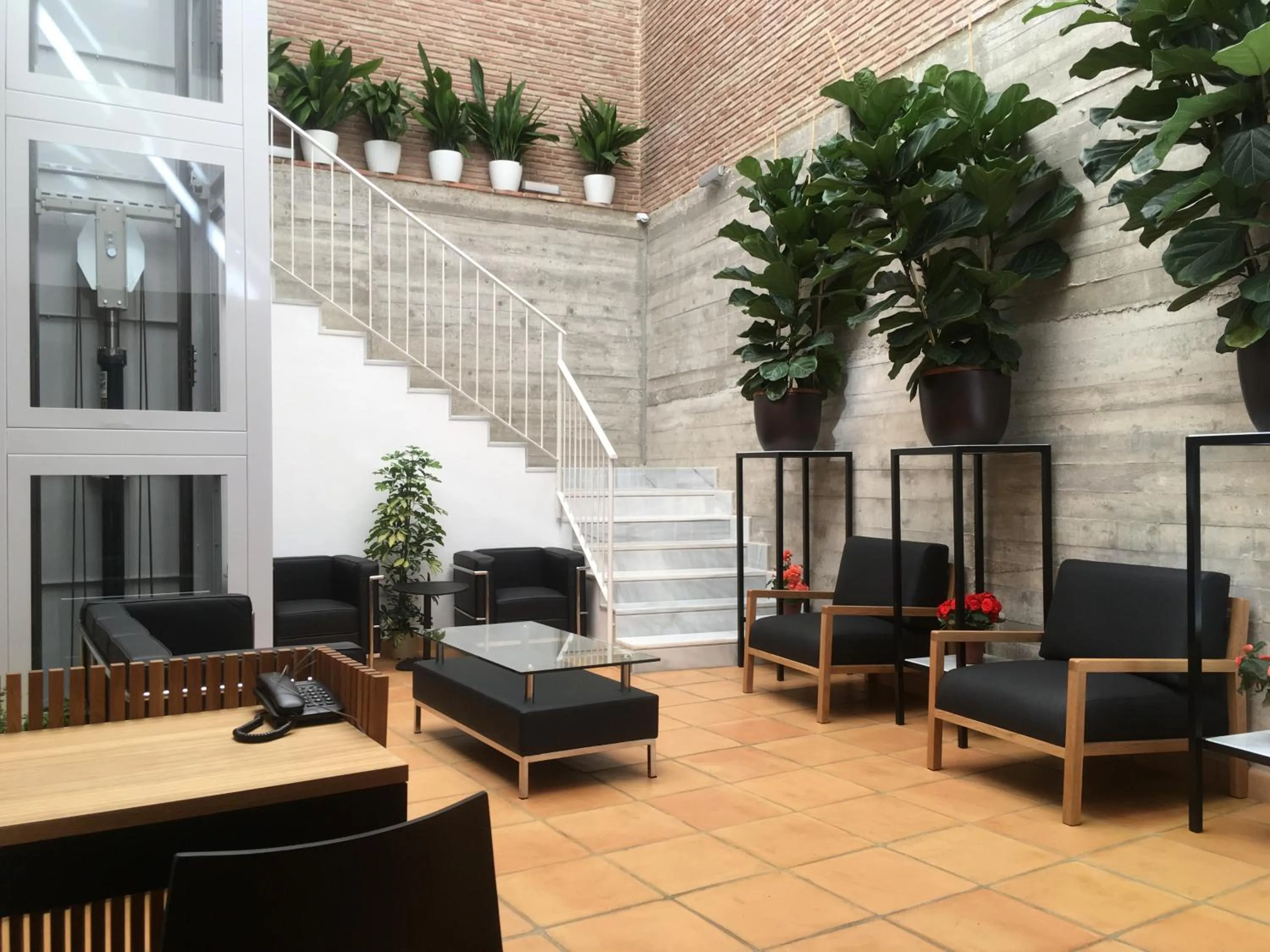 Patio in Hotel Ronda Nuevo