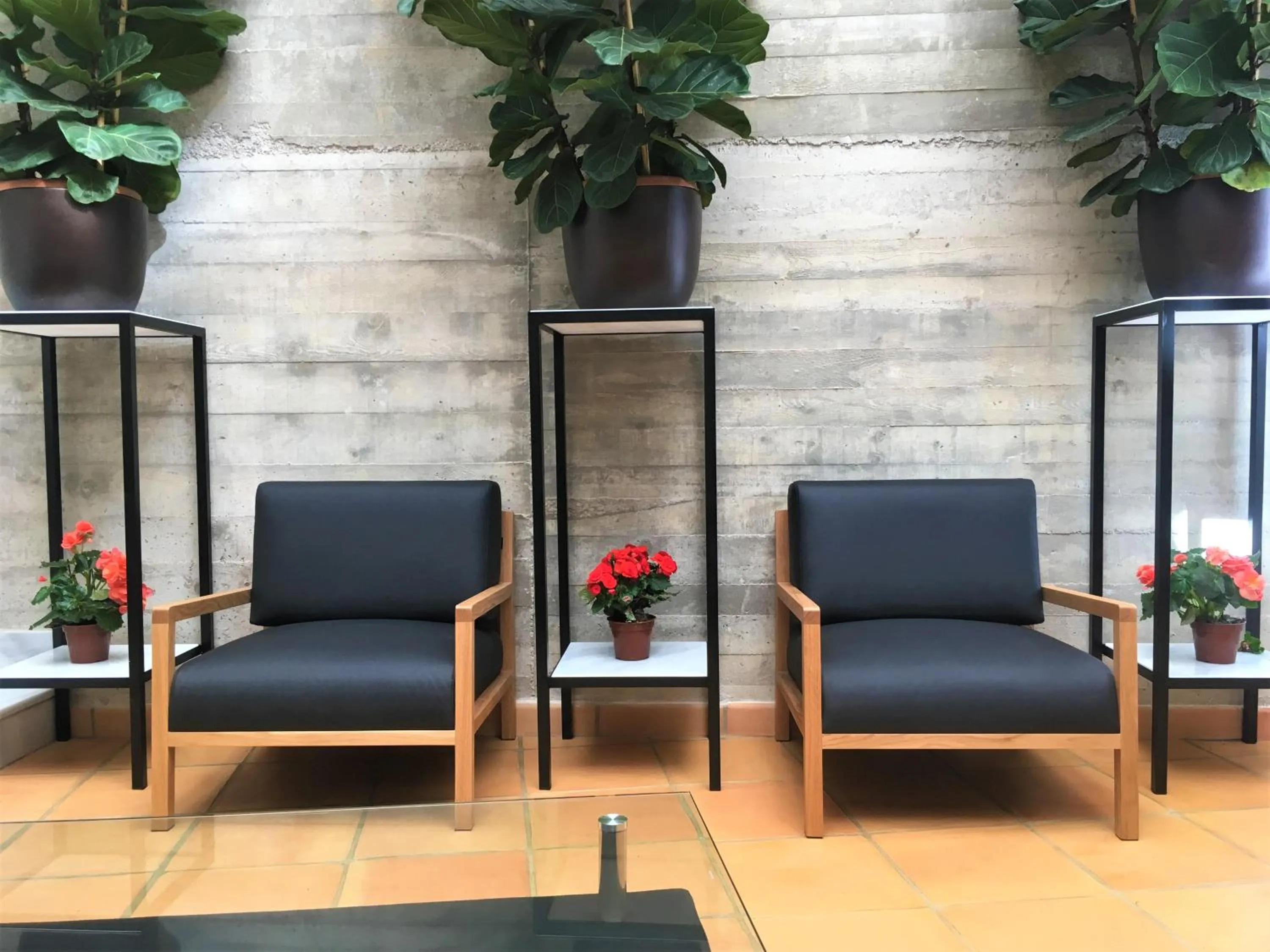 Patio in Hotel Ronda Nuevo