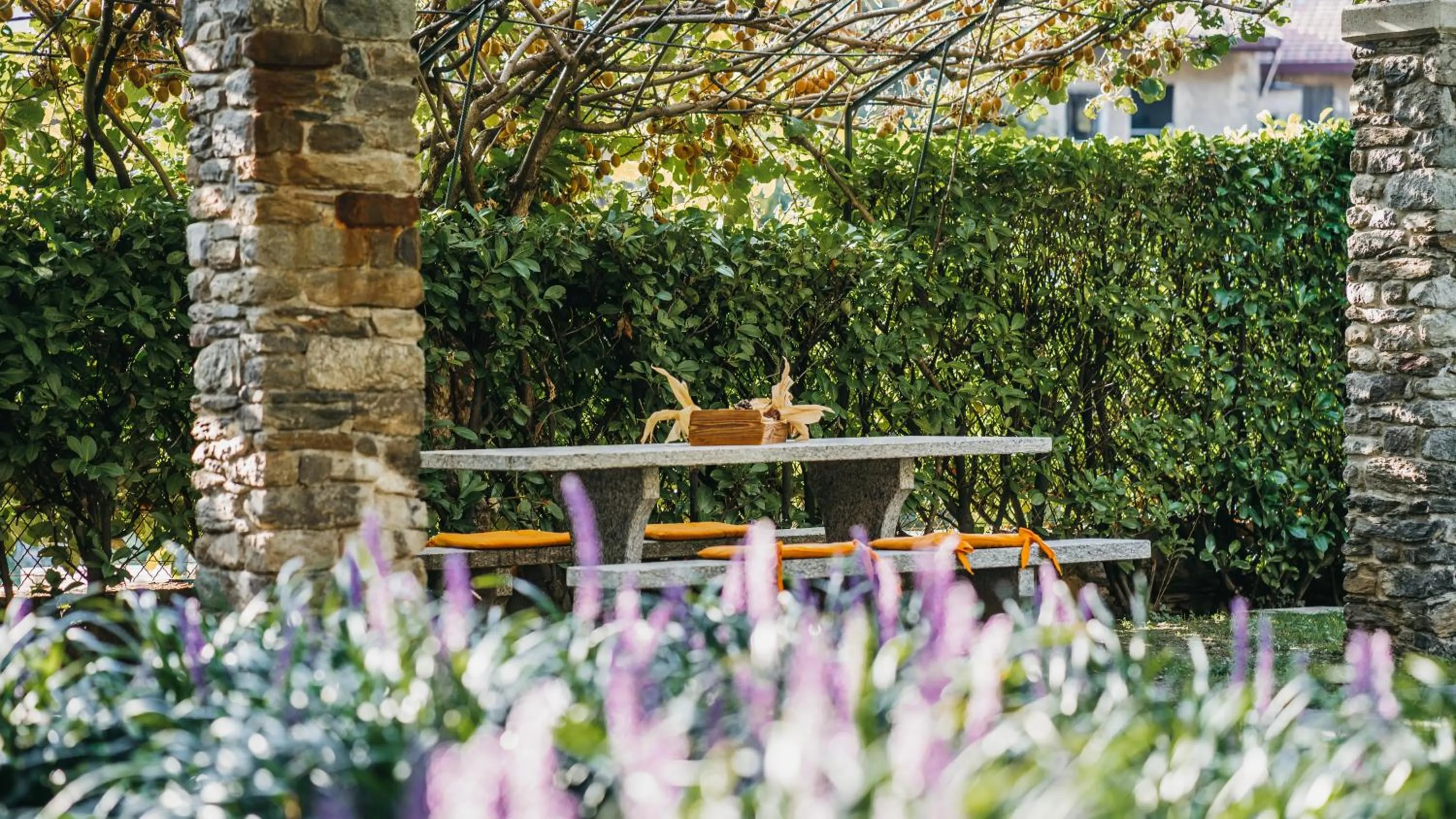 Garden in Residence Antico Torchio