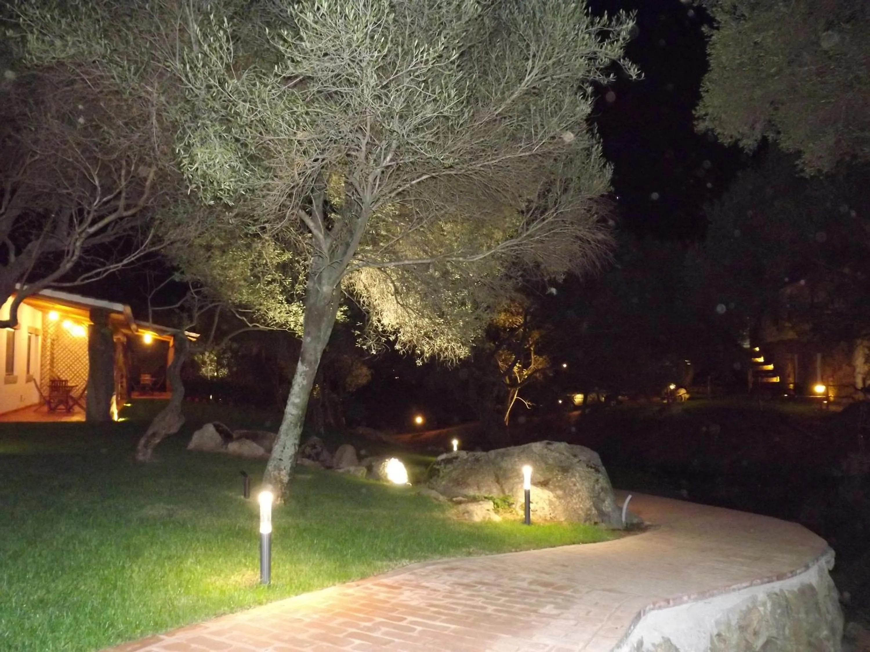 Night in Il Vecchio Ginepro