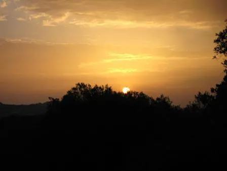 View (from property/room) in Il Vecchio Ginepro