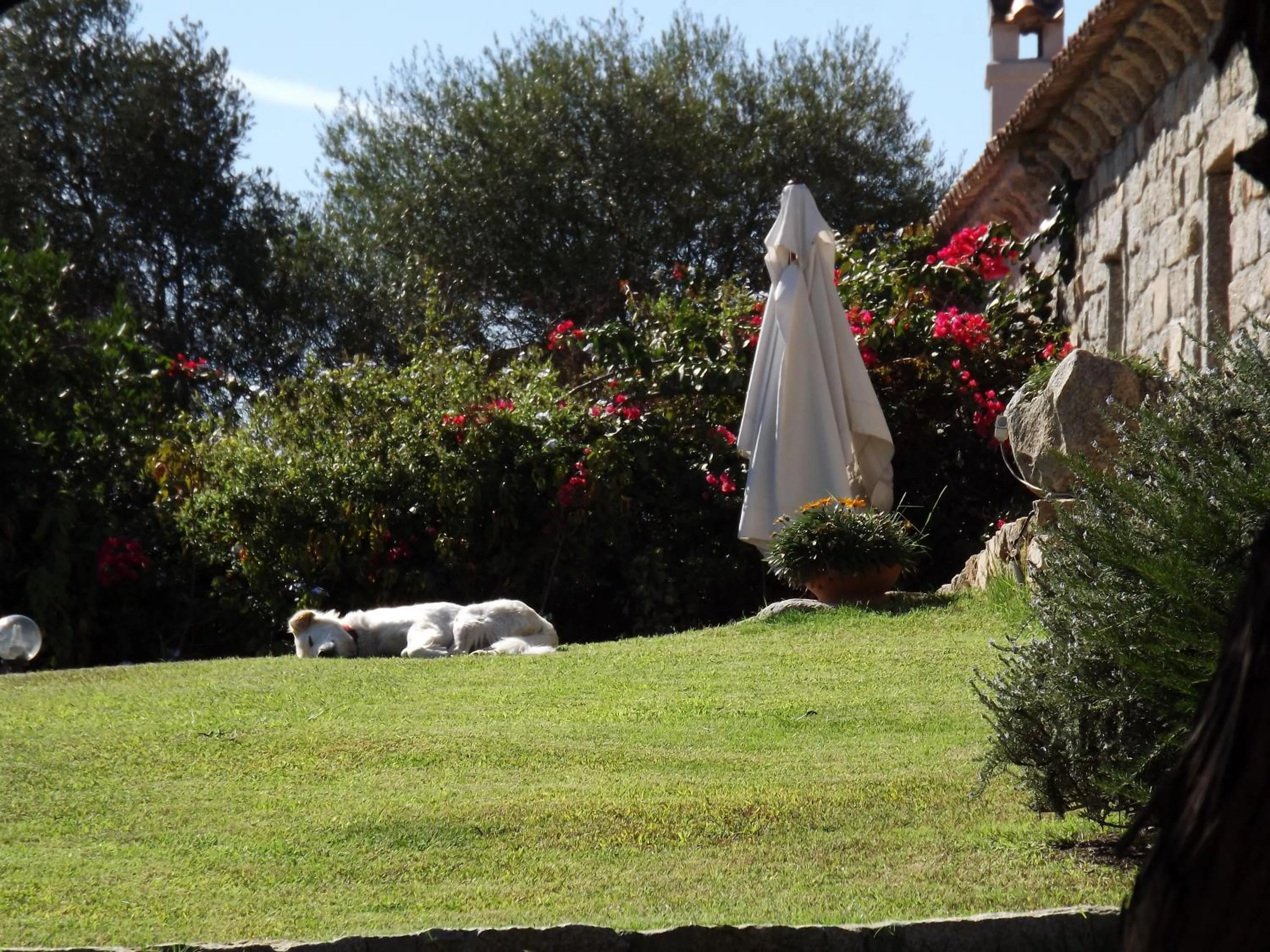 Garden in Il Vecchio Ginepro