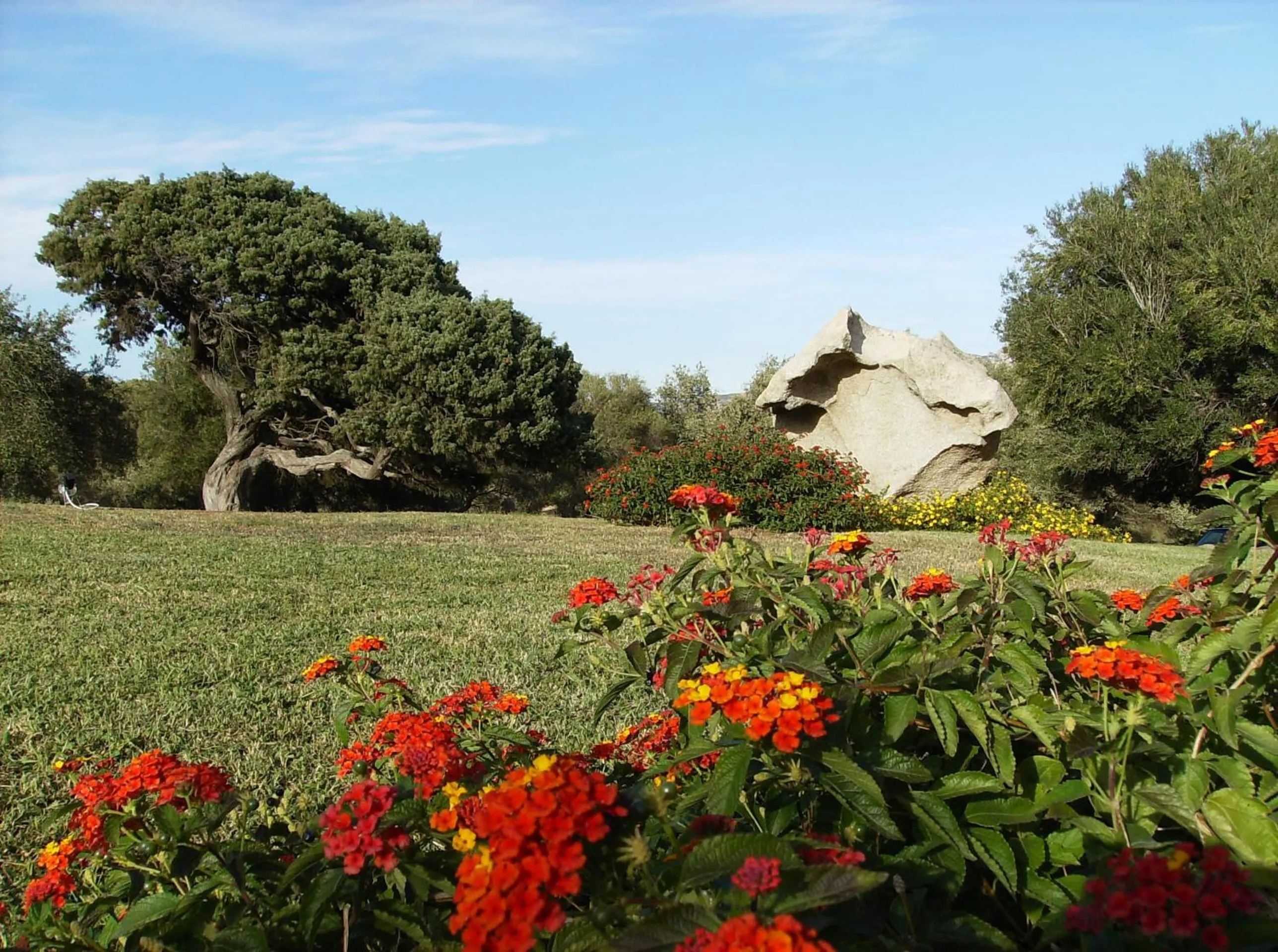 Garden in Il Vecchio Ginepro