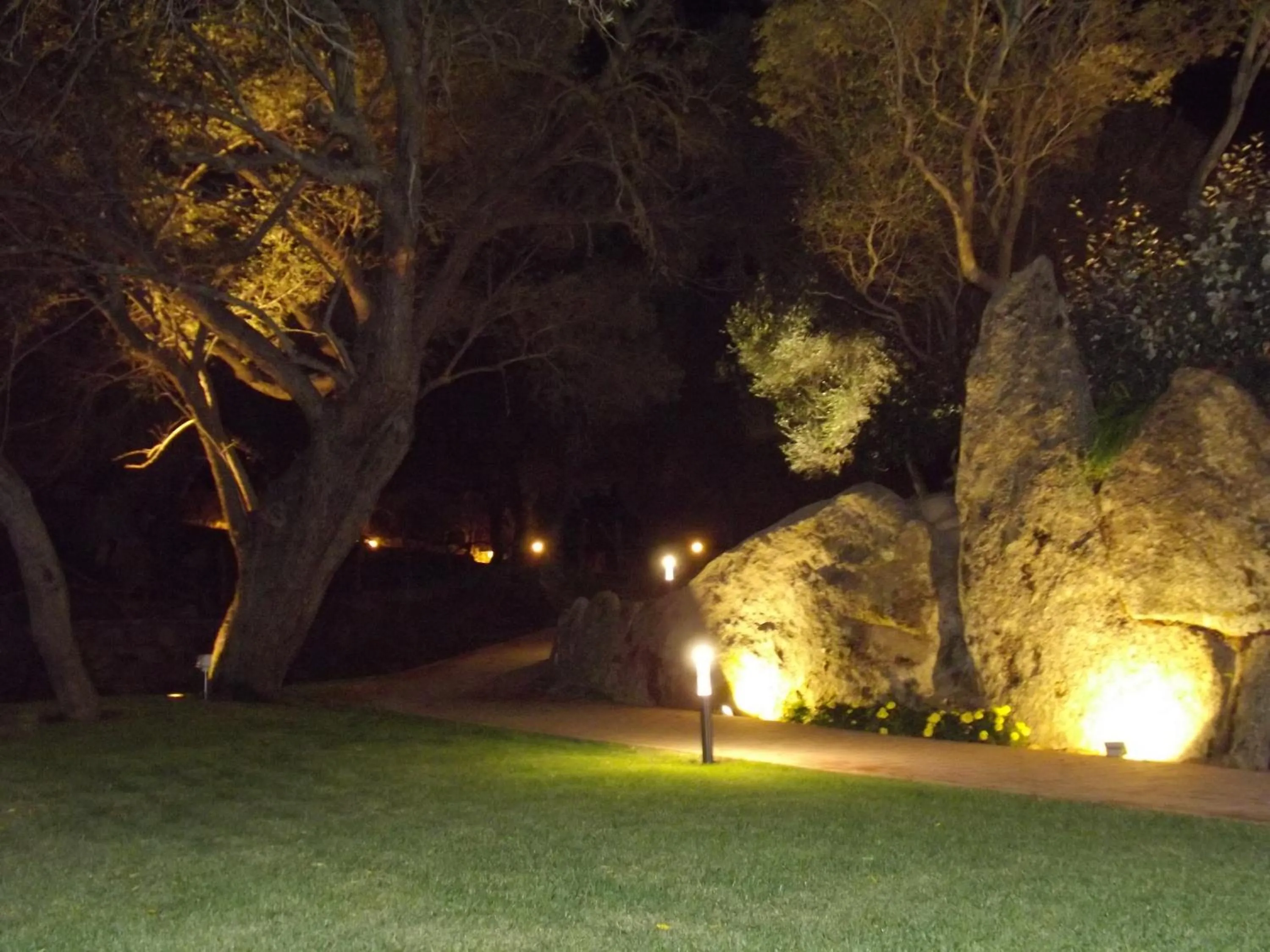 Night in Il Vecchio Ginepro