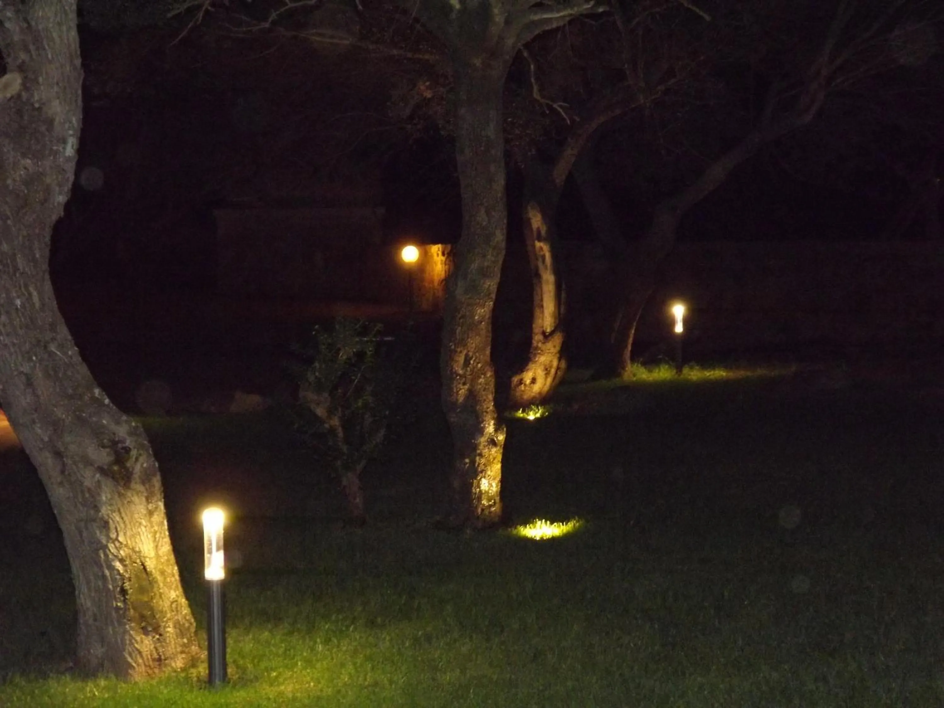 Night in Il Vecchio Ginepro