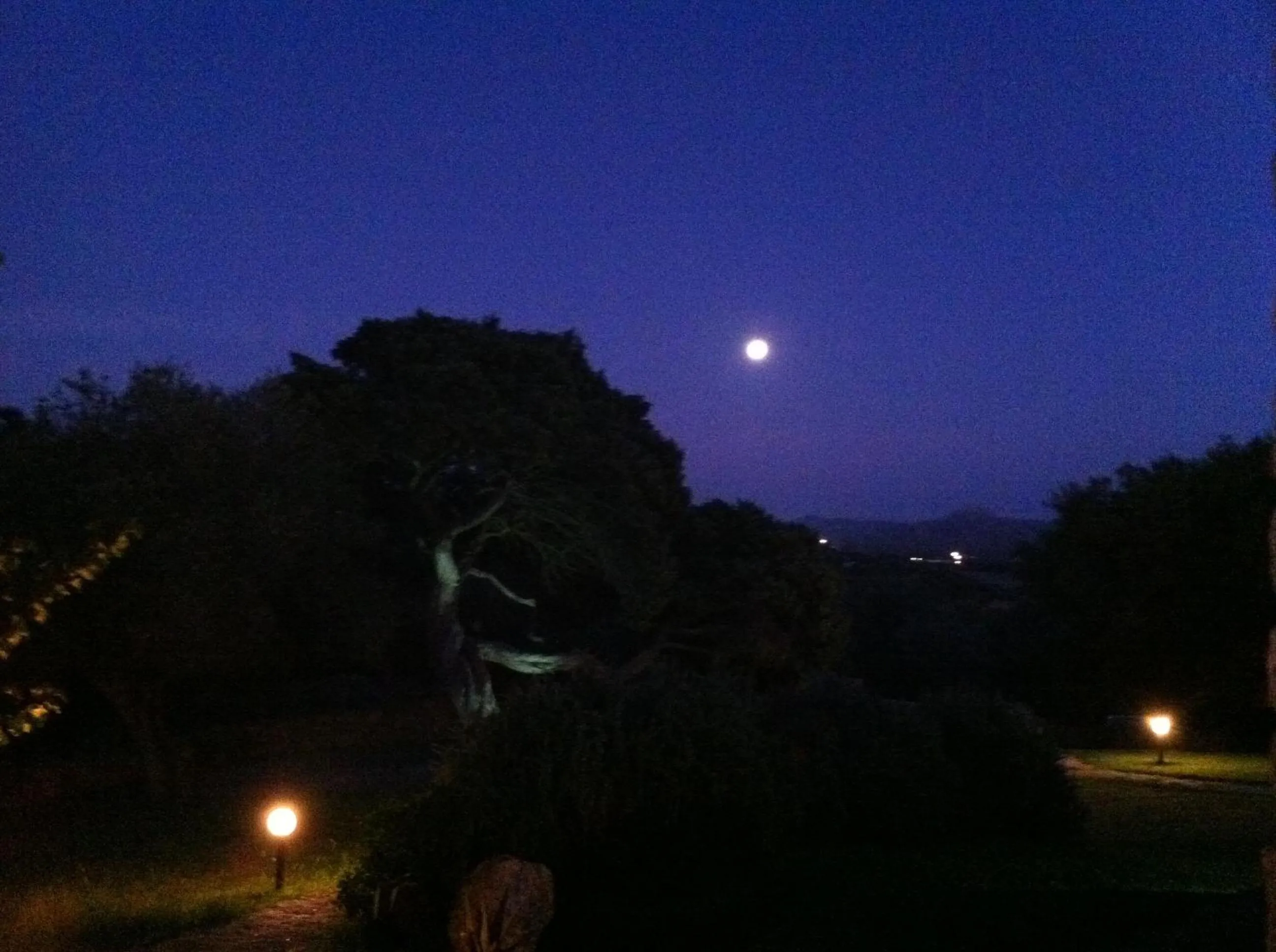 Night in Il Vecchio Ginepro