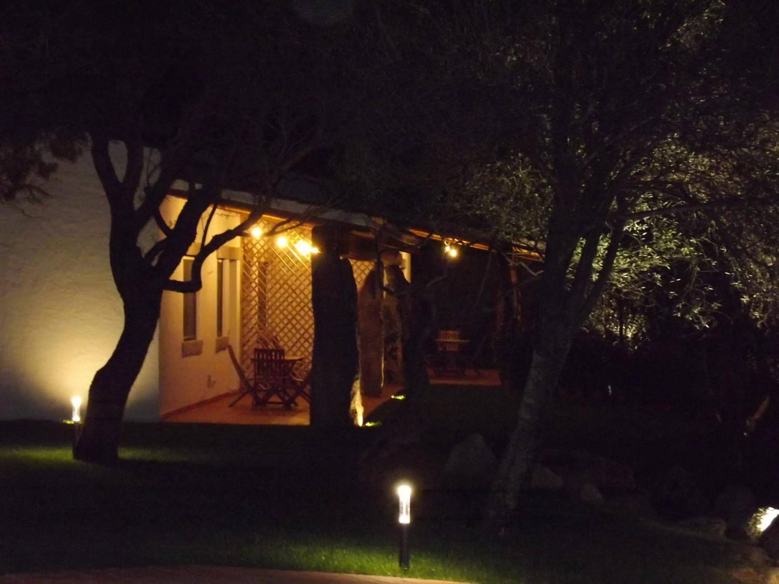 Night in Il Vecchio Ginepro