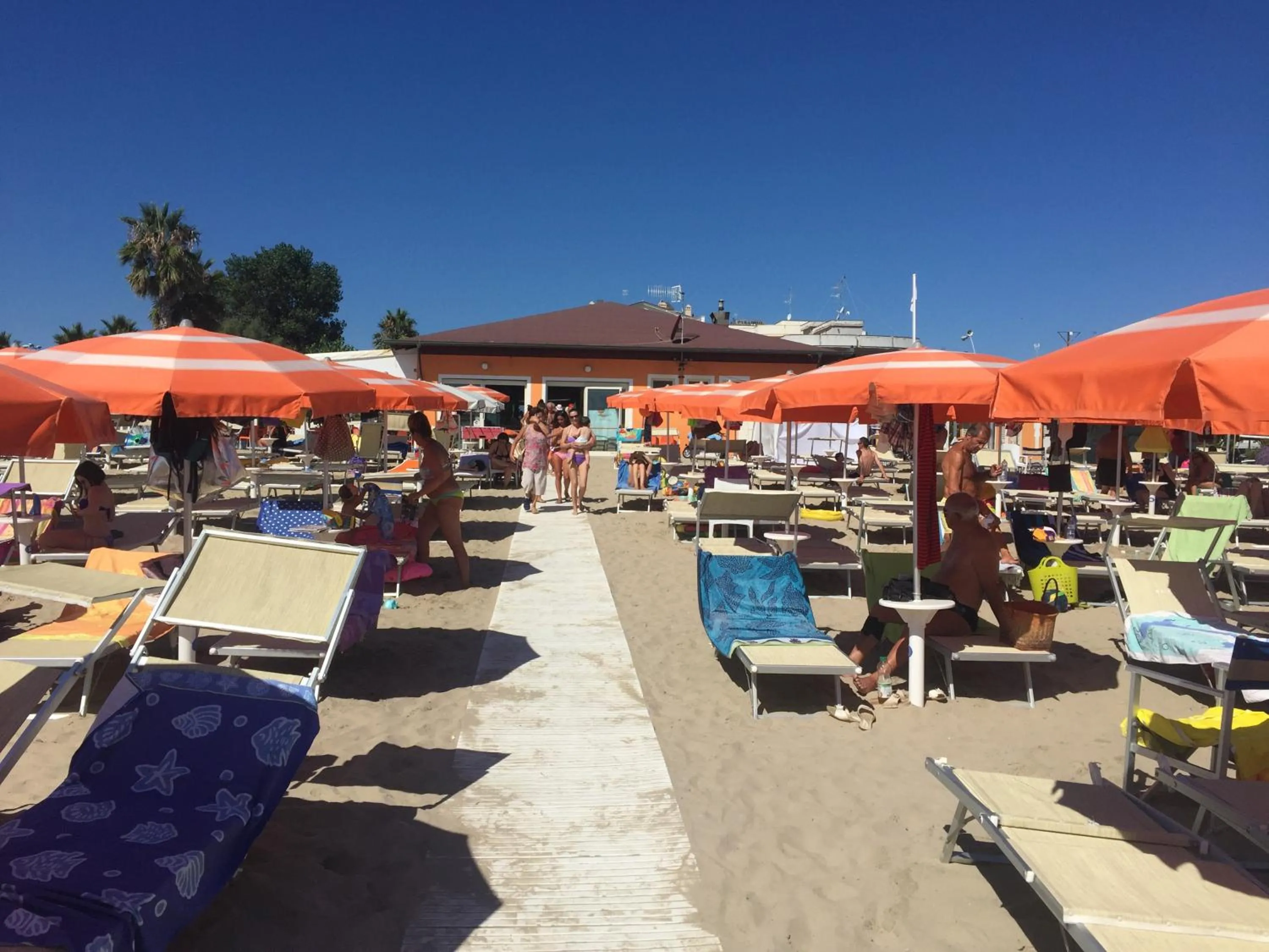 Beach in Residence il Girasole 1