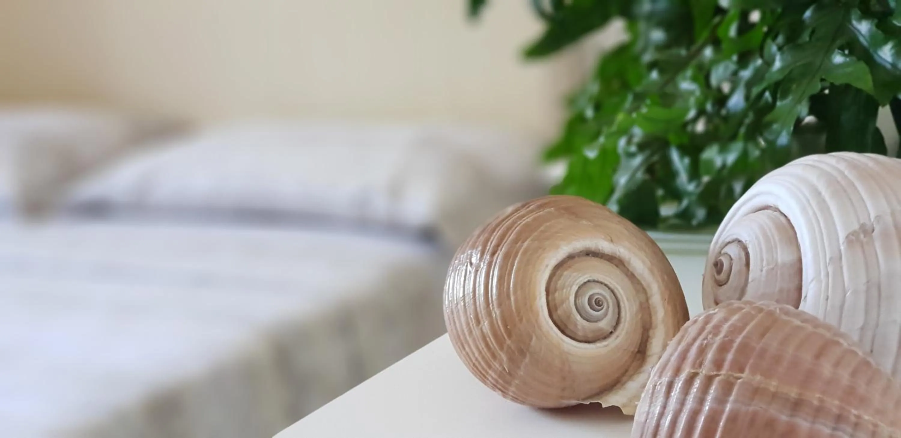 Bed in Villa Sofia Affittacamere