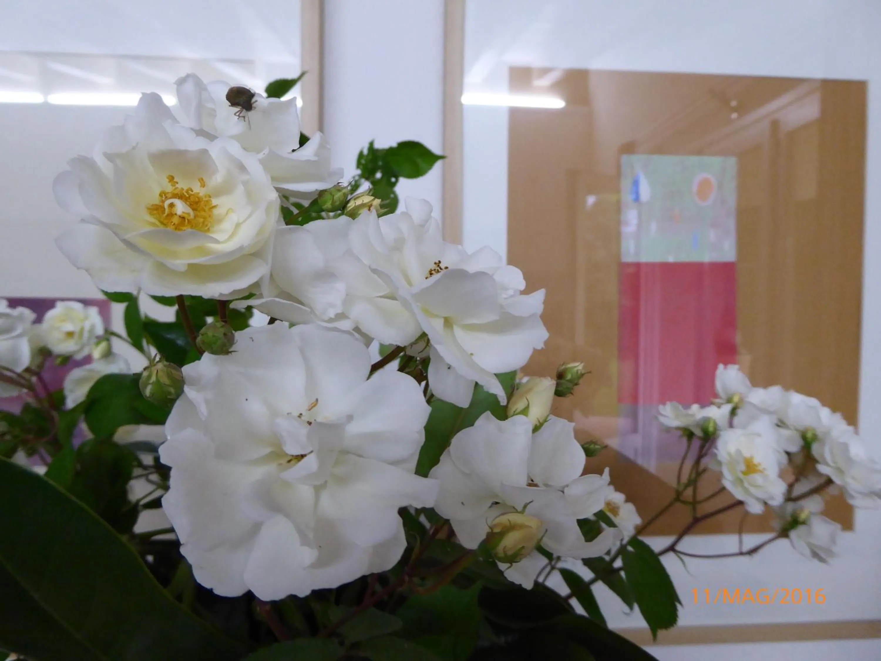 Decorative detail in La Casa del Giardiniere