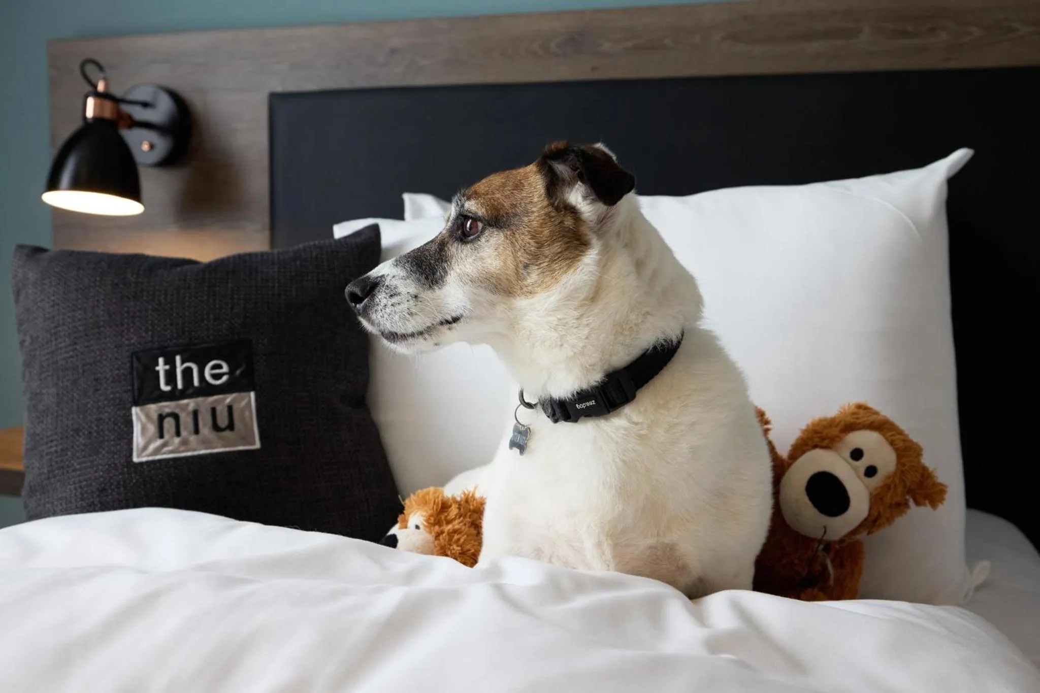 Other, Bed in Holiday Inn - the niu, Loom Manchester North by IHG