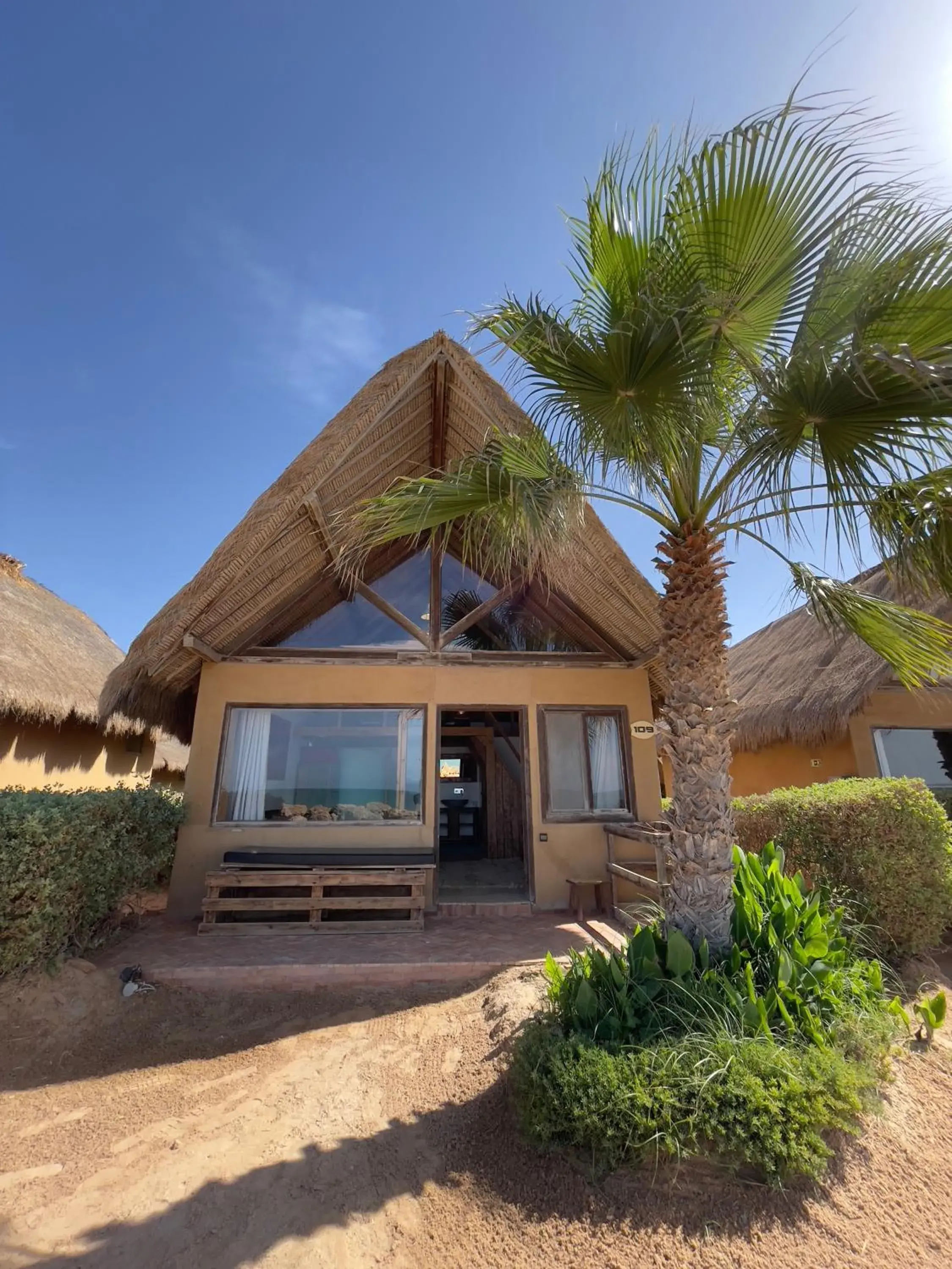 Garden view in Westpoint Dakhla Garden view in Westpoint Dakhla