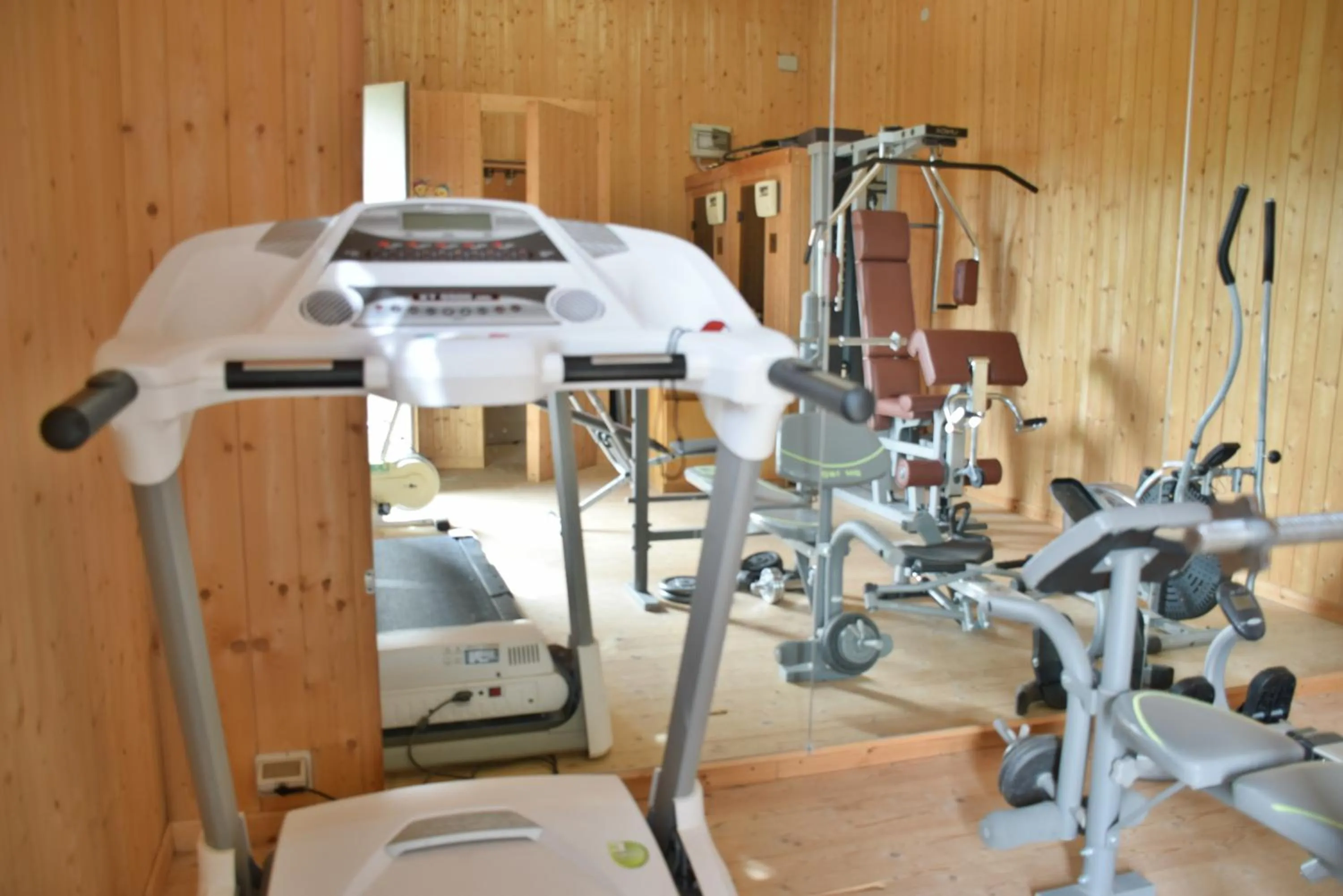 Fitness centre/facilities in Villa Tasca