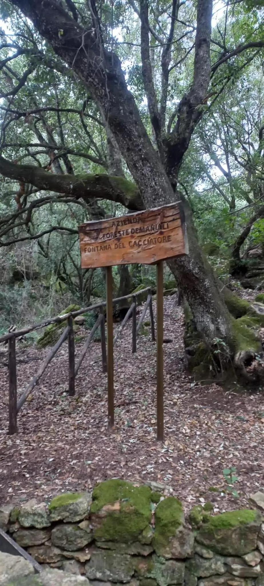 Hiking in Villa Tasca