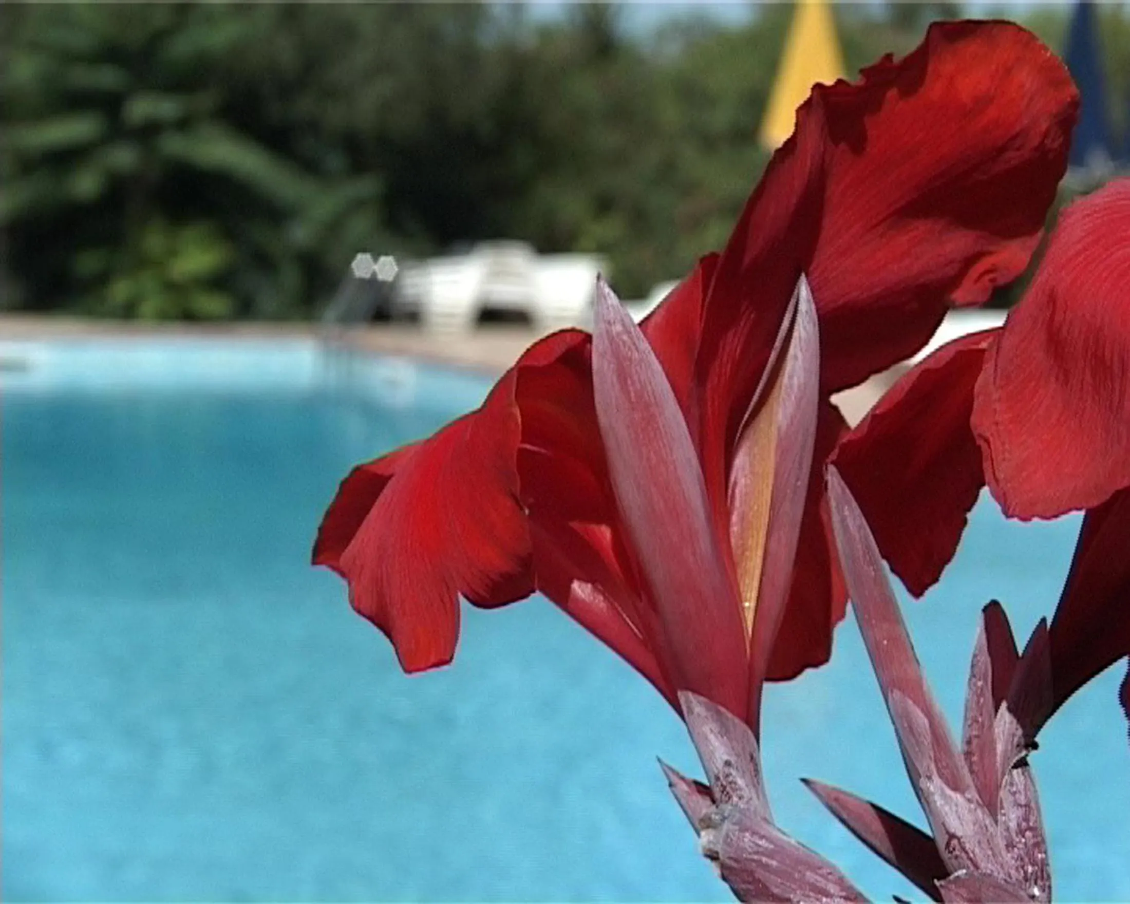 Spring in Villa Tasca