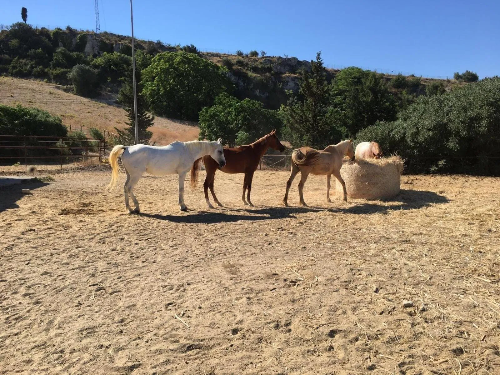Horse-riding in Villa Tasca