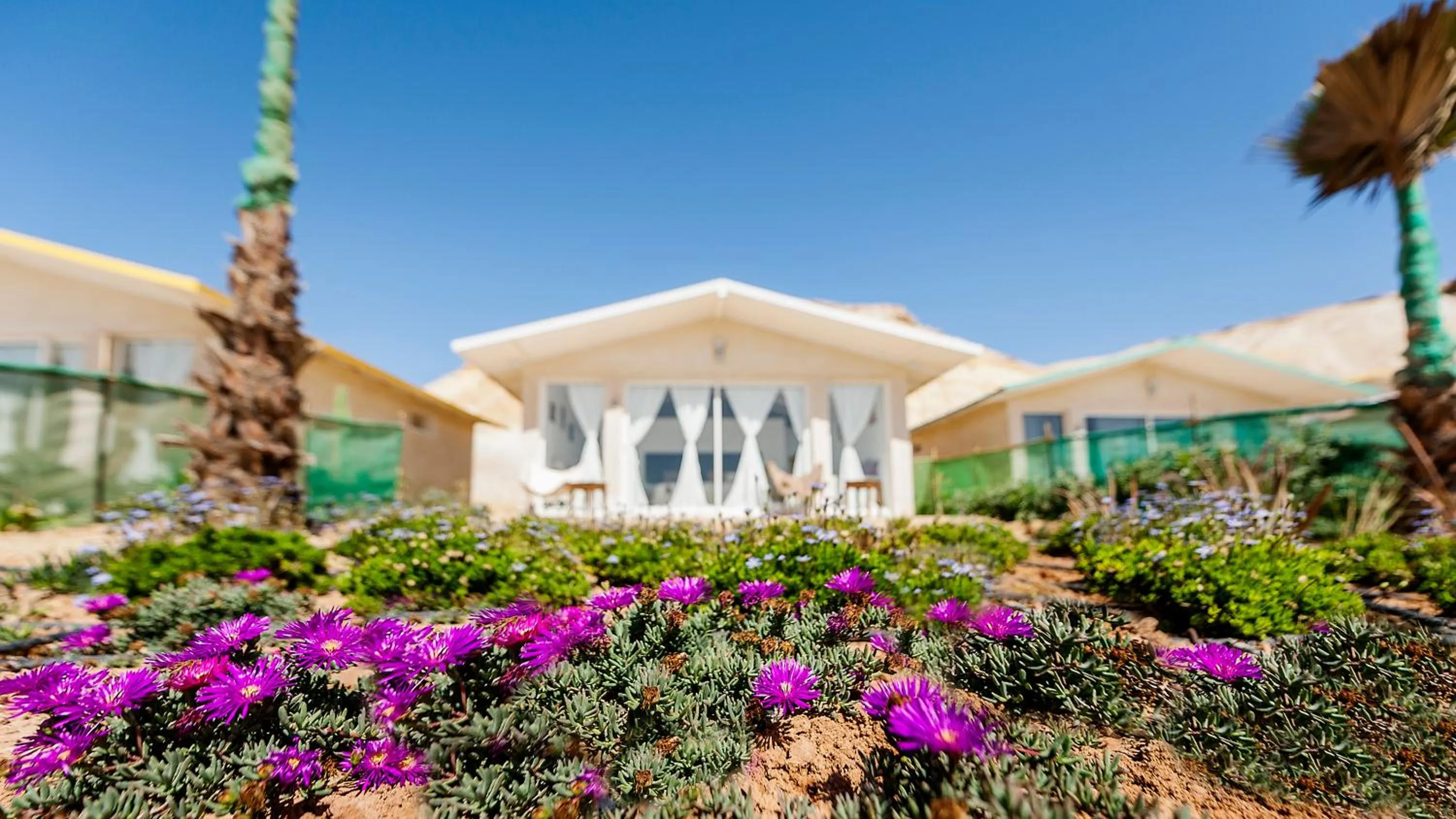 Garden in PK25 Dakhla