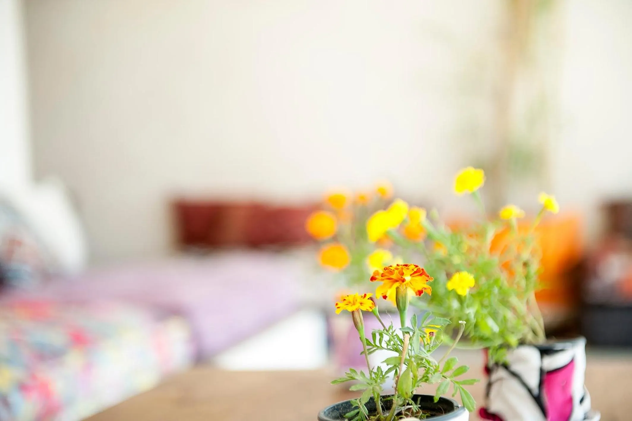Seating area, Bed in PK25 Dakhla