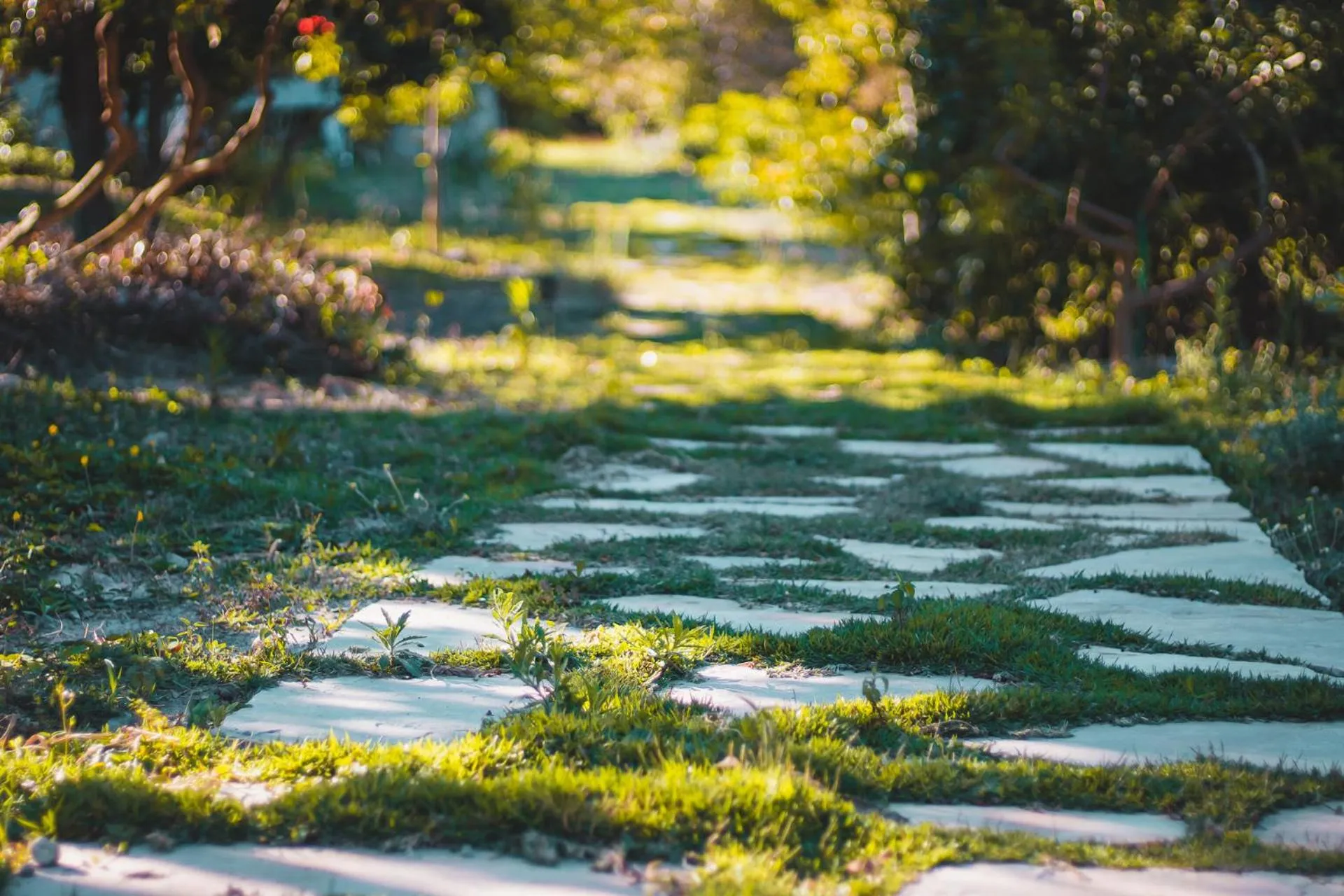 Natural landscape in Pousada Amanhecer