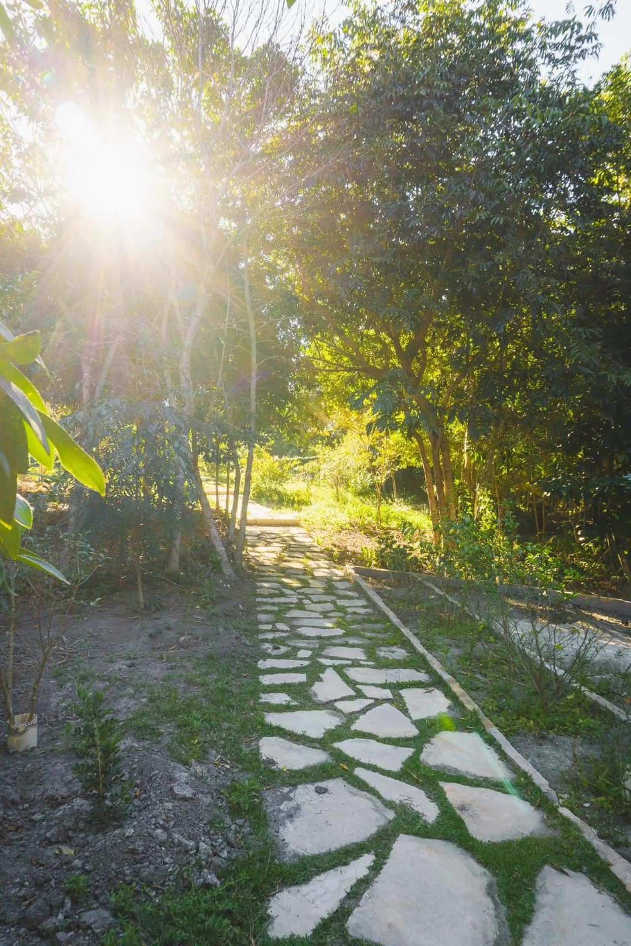 Natural landscape in Pousada Amanhecer