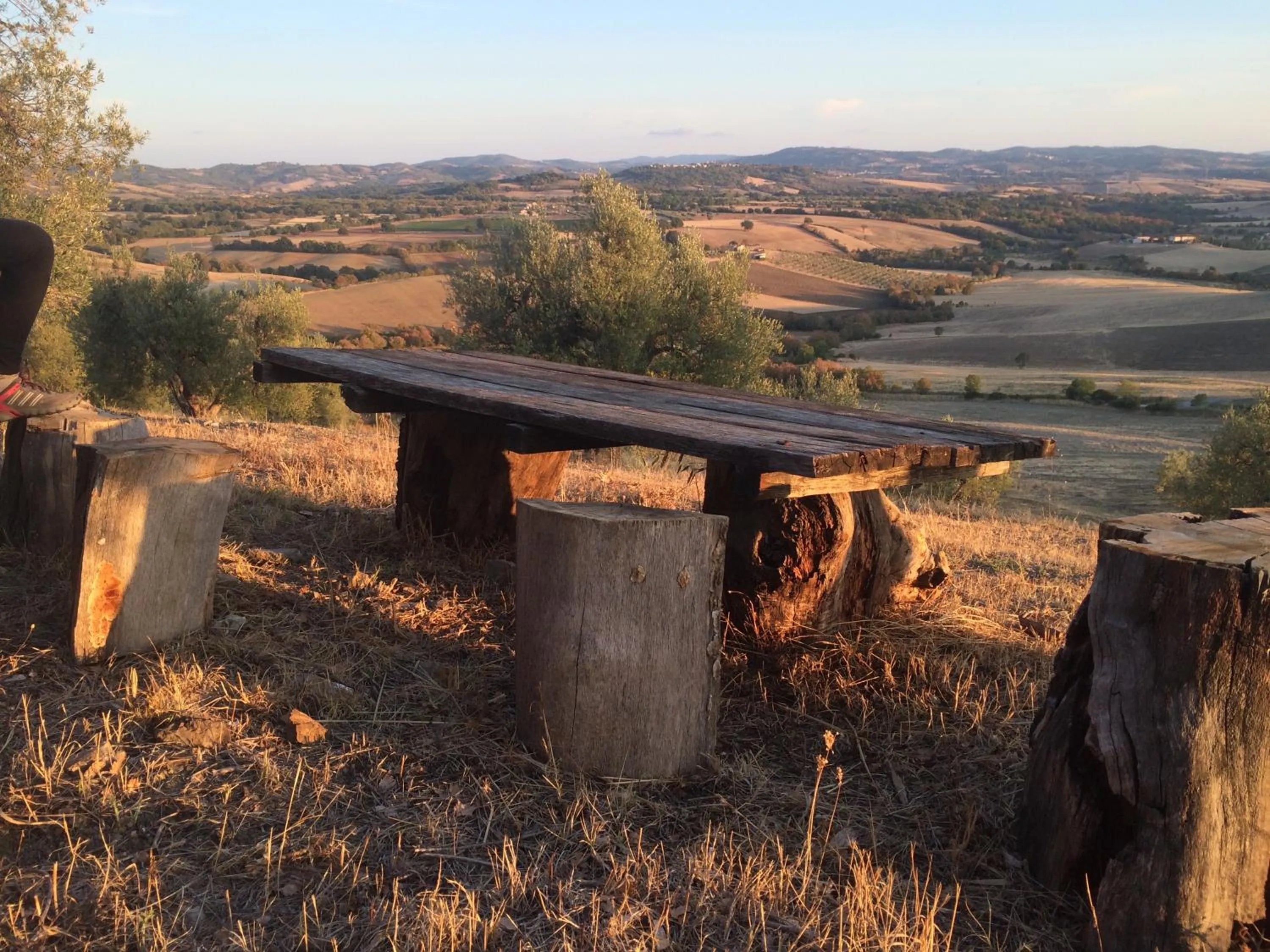 View (from property/room) in Casetta Tartuchino