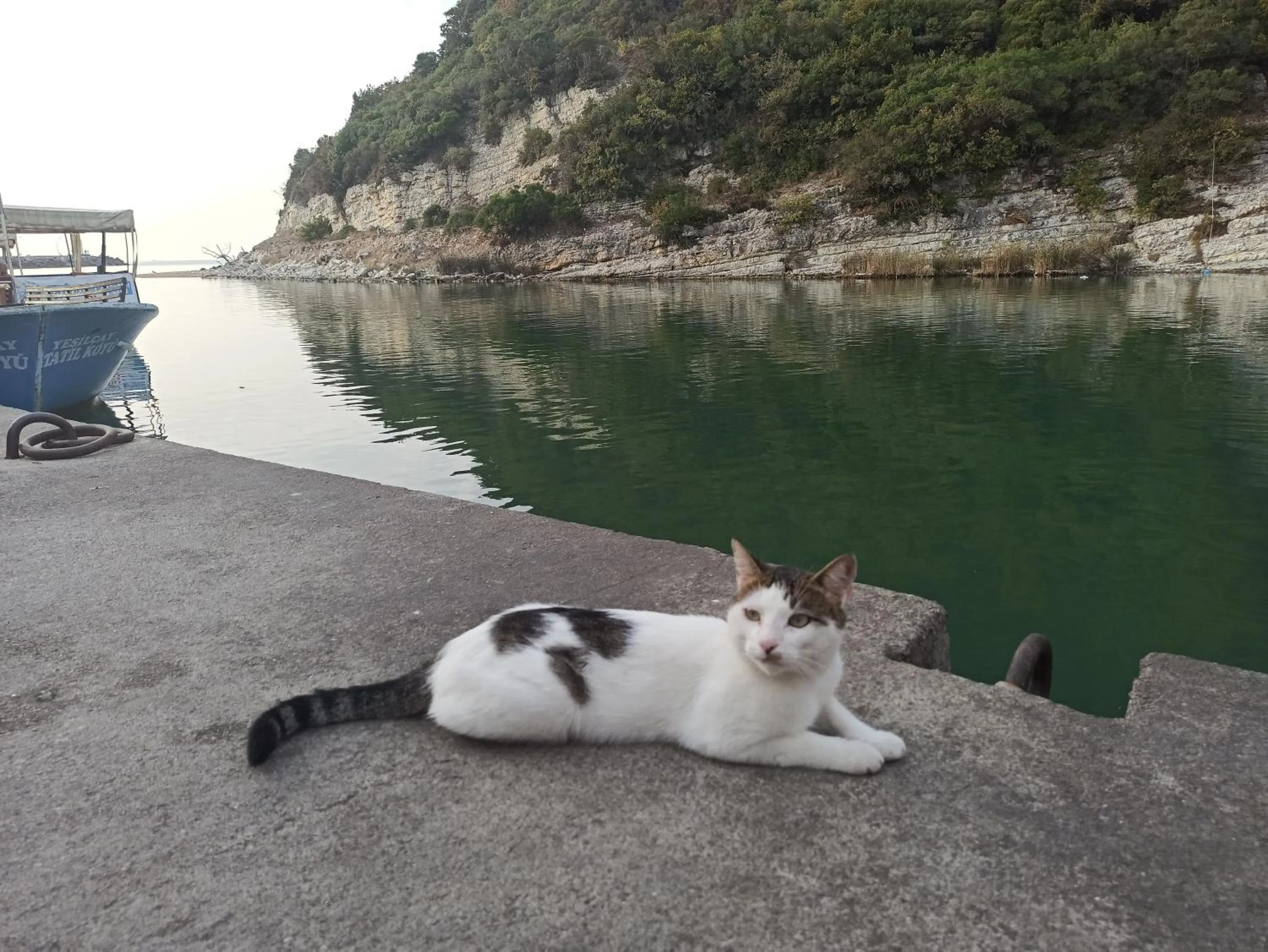 Pets in Ağva Carpediem Otel