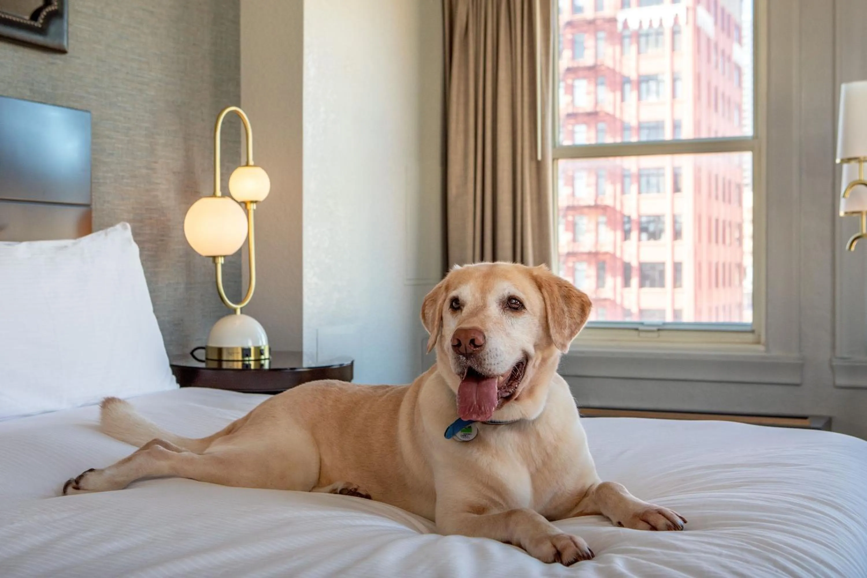 Other, Bed in Hotel Adagio, Autograph Collection