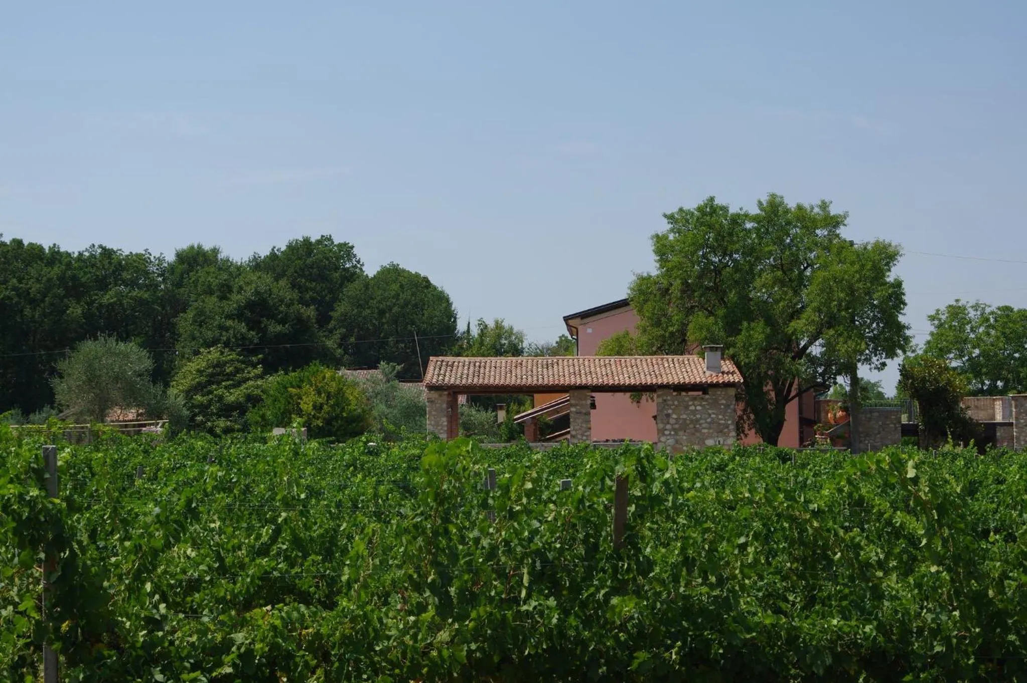 Agriturismo La Casa Del Mandorlo