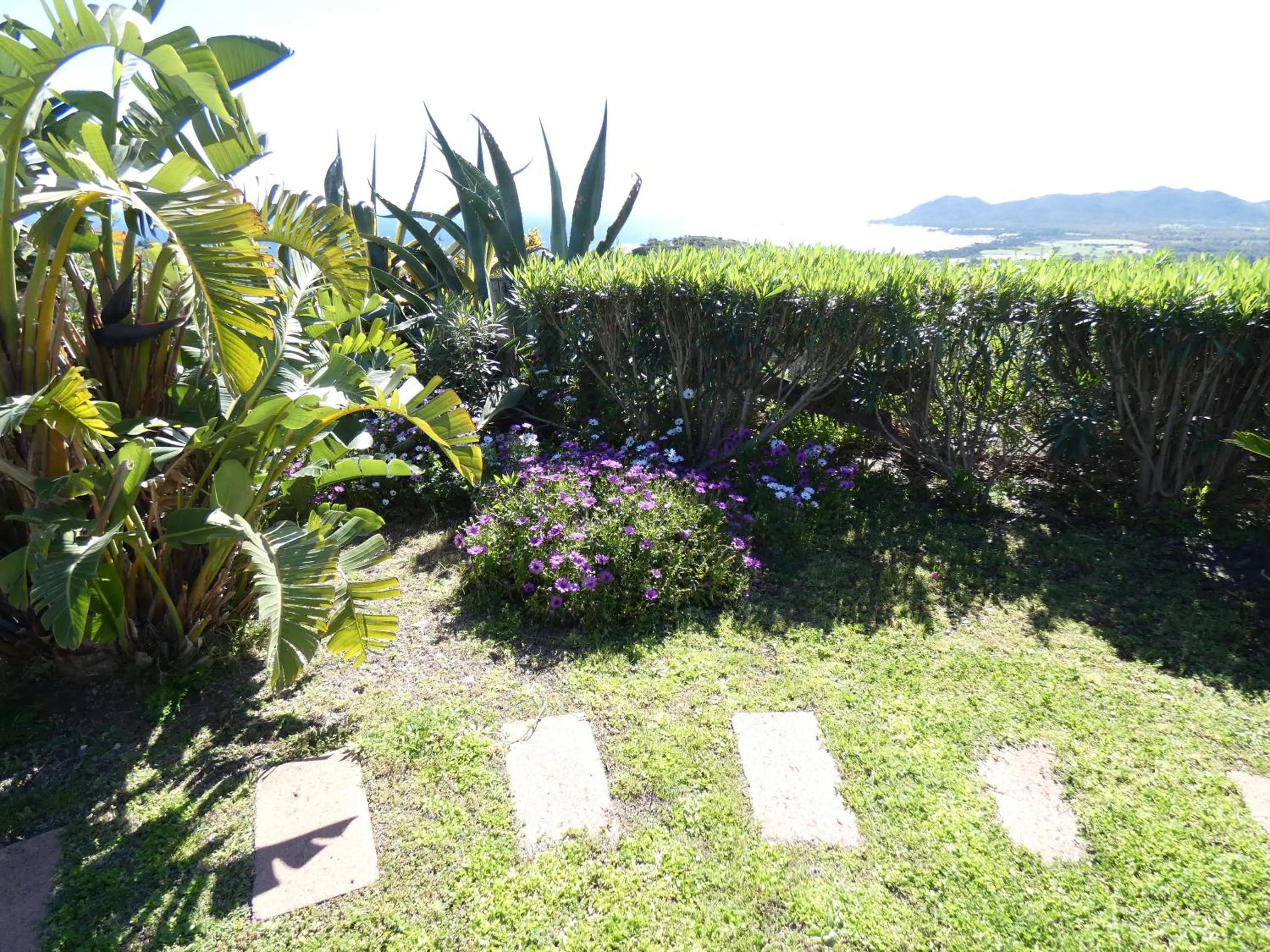 Comino Alto Agriturismo e Appartamenti
