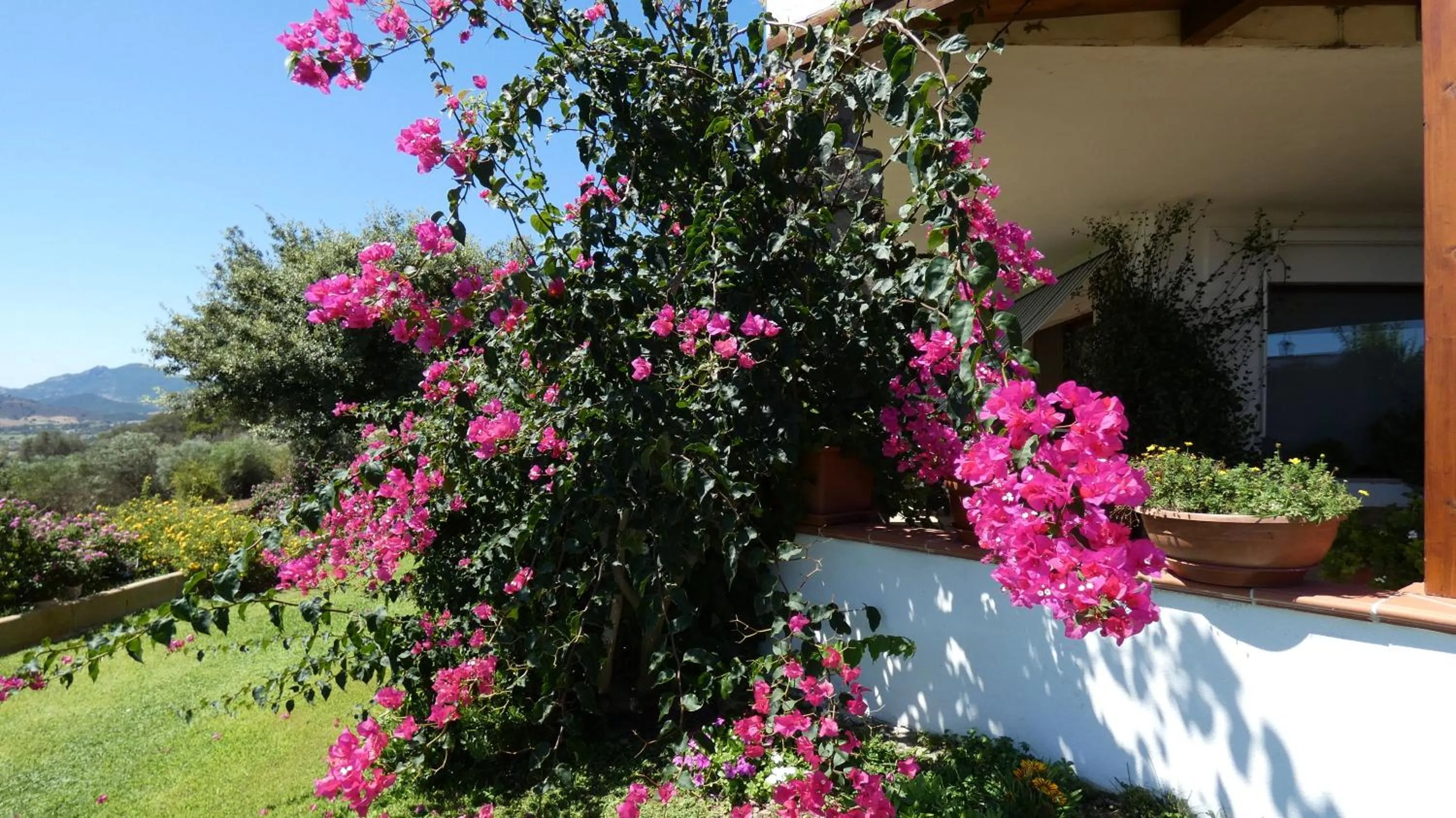 Comino Alto Agriturismo e Appartamenti