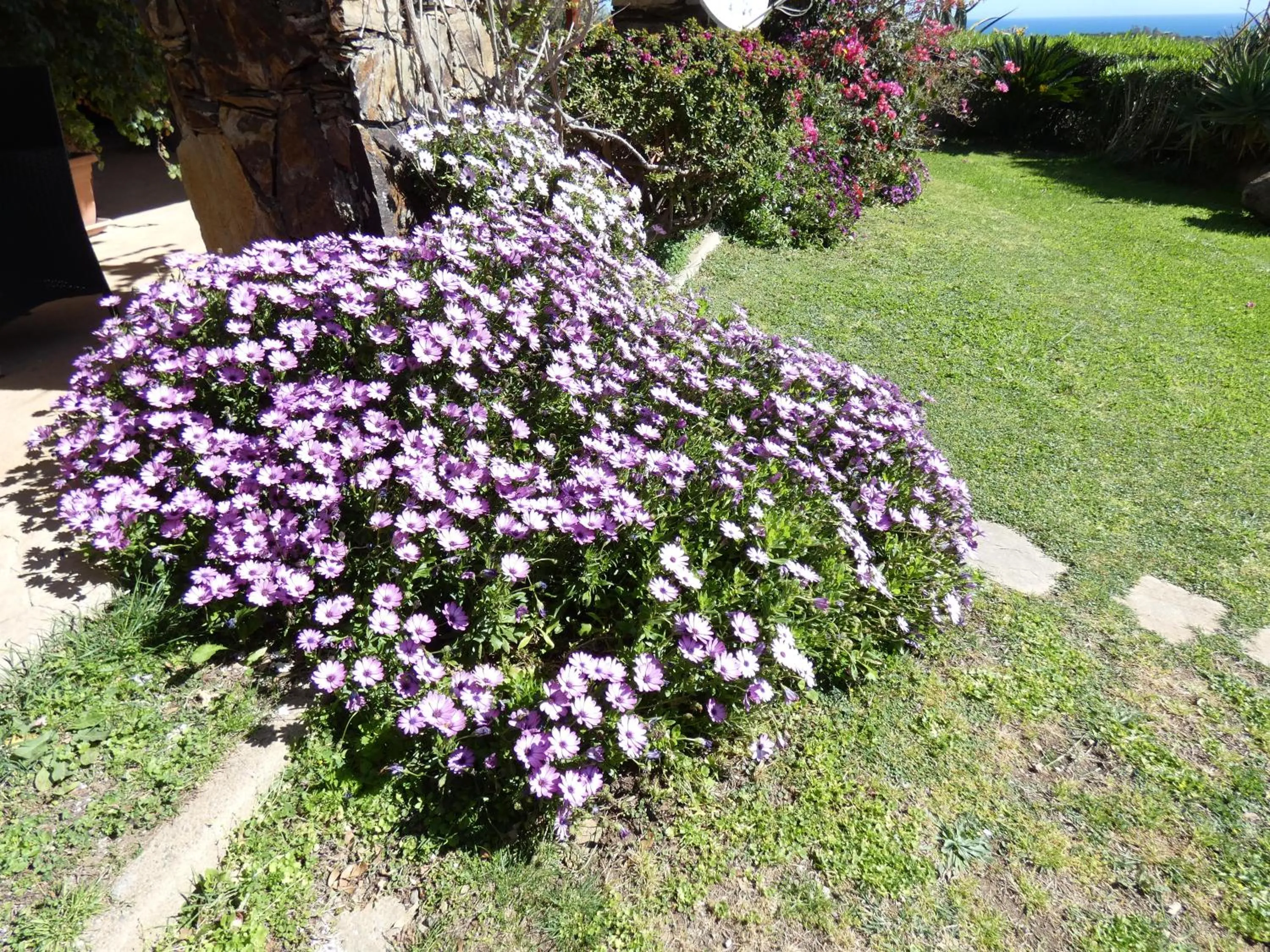 Comino Alto Agriturismo e Appartamenti