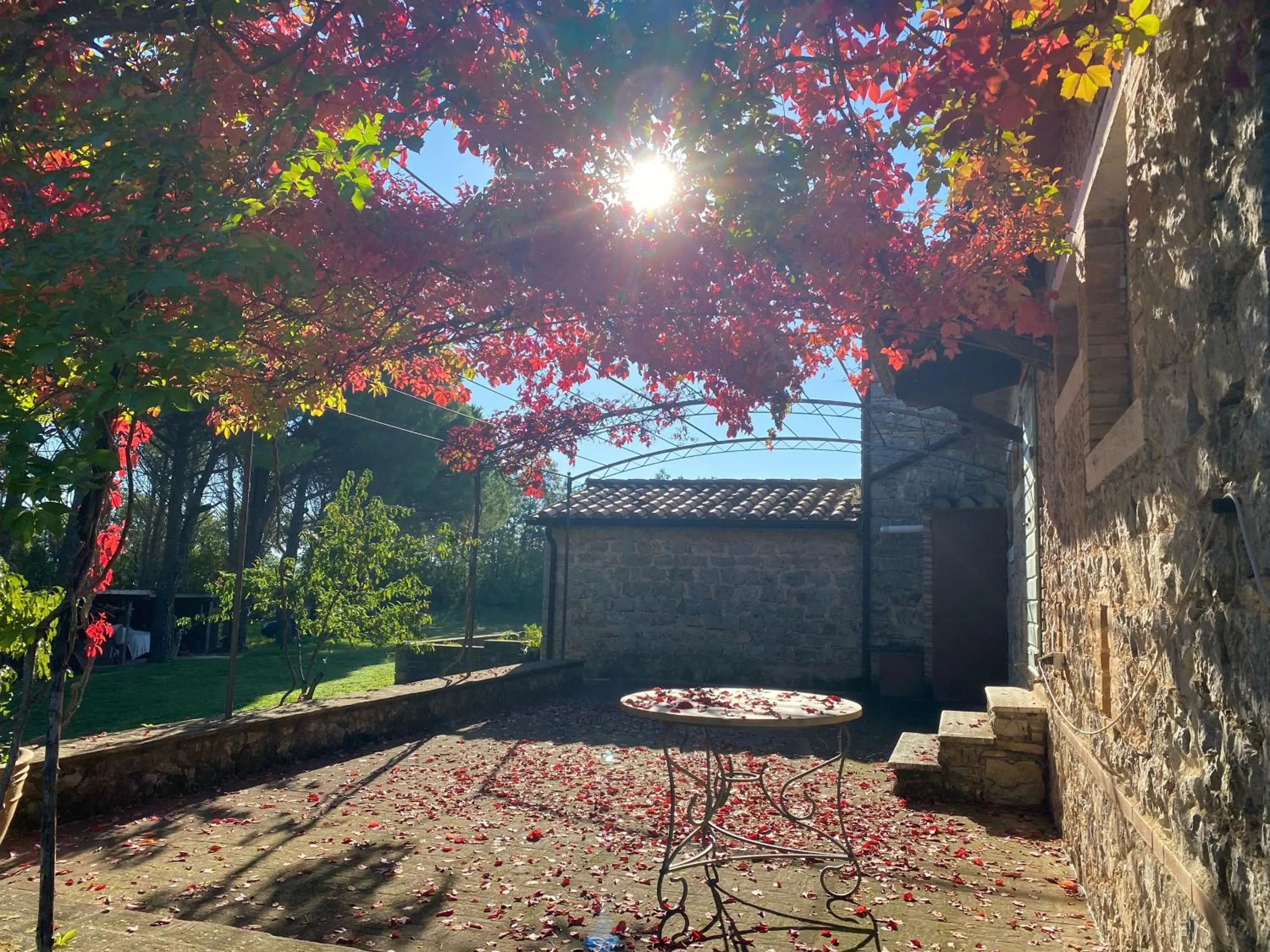 Garden in Country House Montecchio