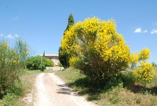 Facade/entrance in Country House Montecchio