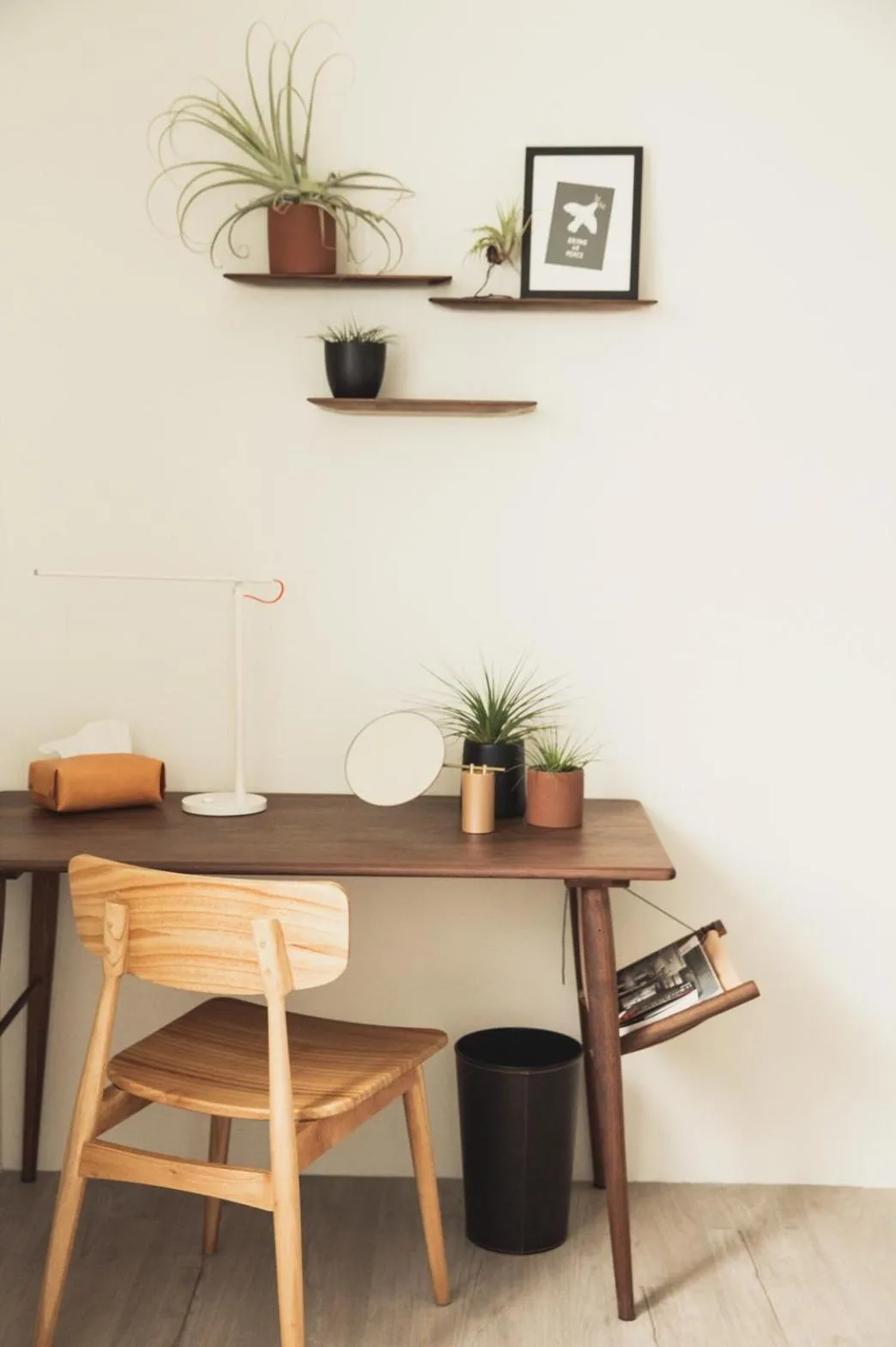 Boy apartment -Adult only