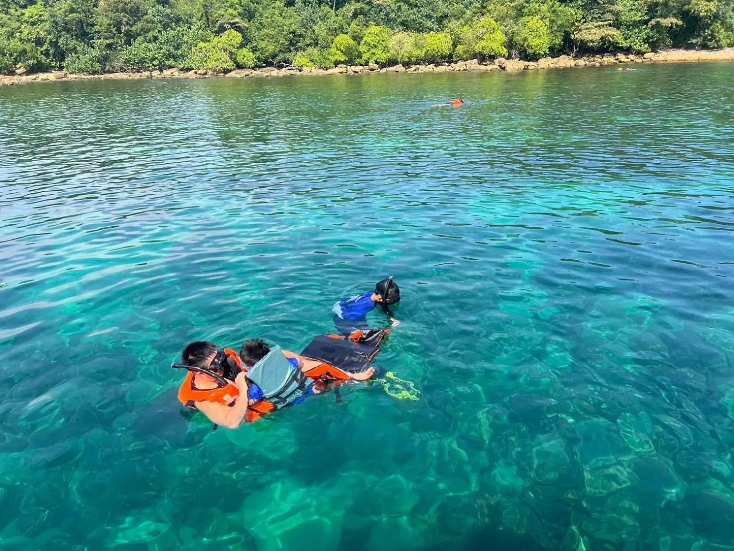 Snorkeling in Wave-F