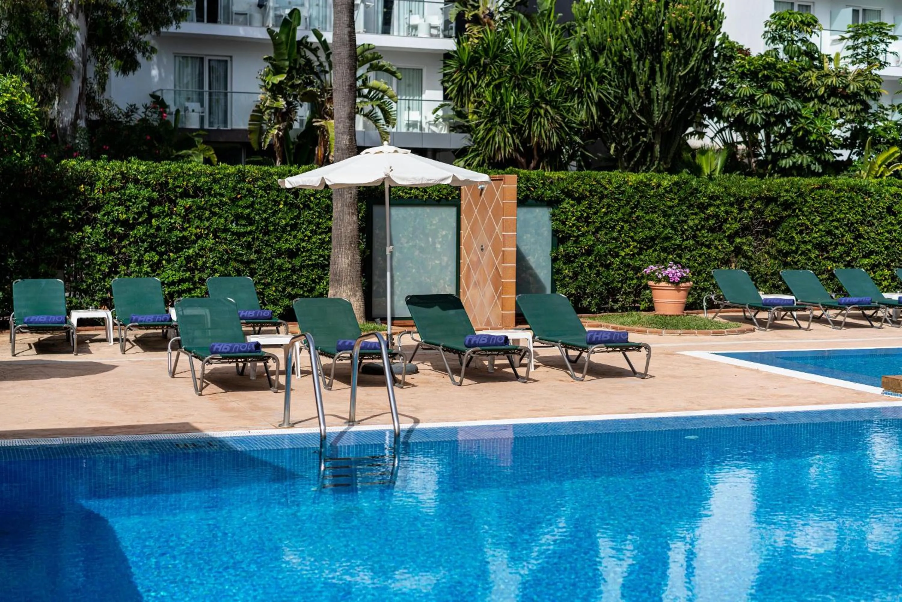 Swimming pool in THB Niágara - Adults Only