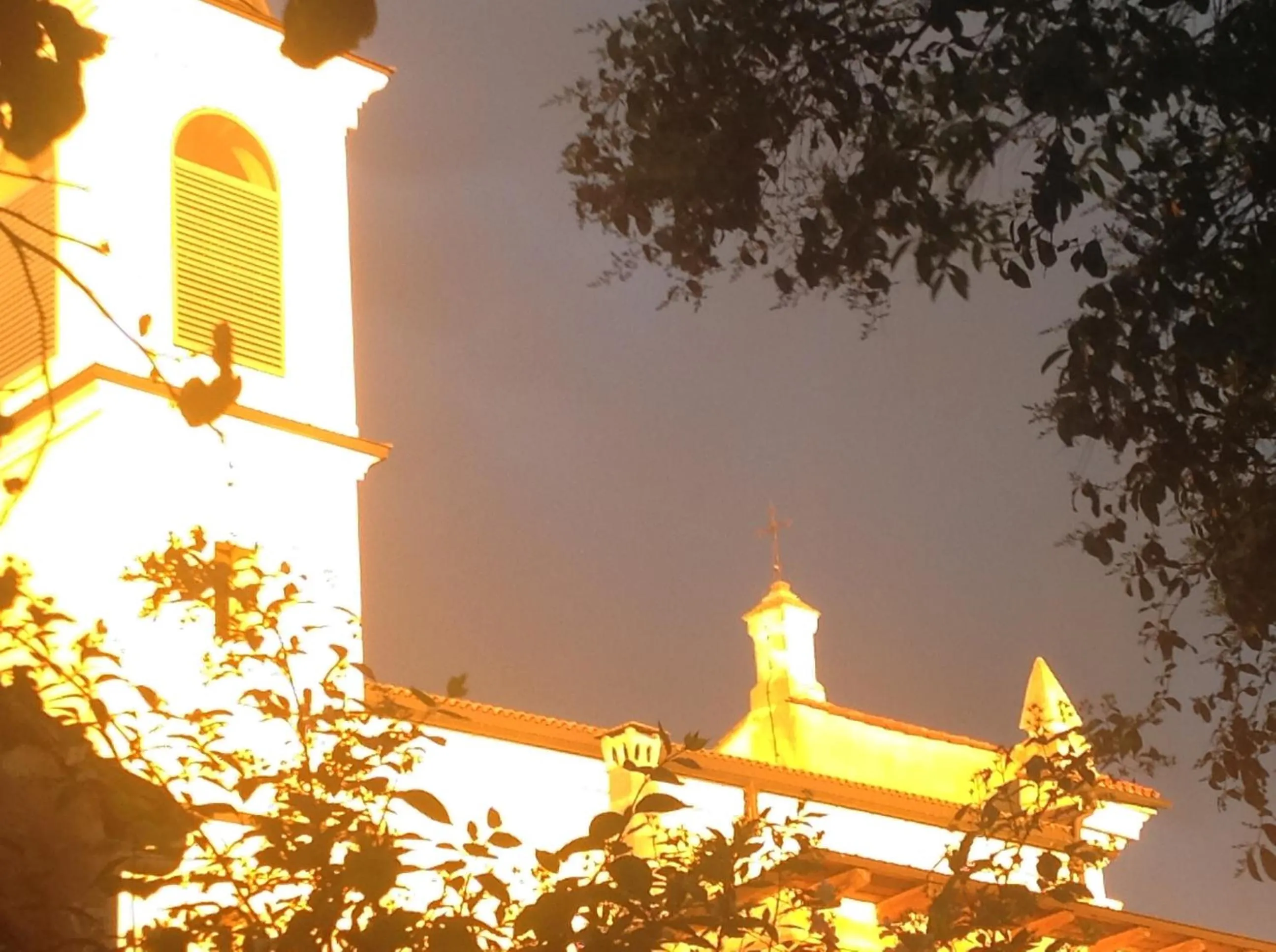 Garden view in B&B Ciliegio Felice