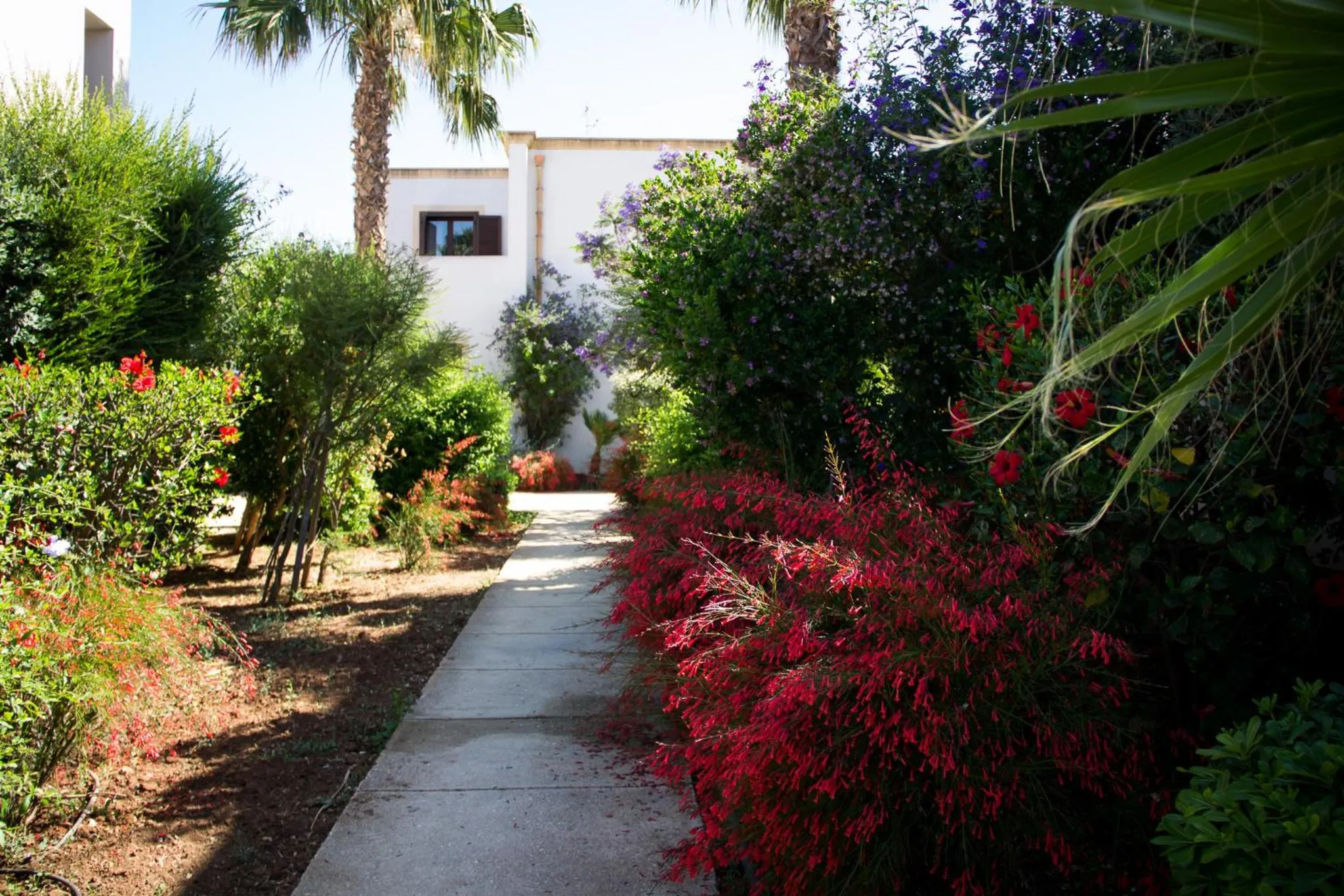 Garden in Case Vacanza Torre Lupa
