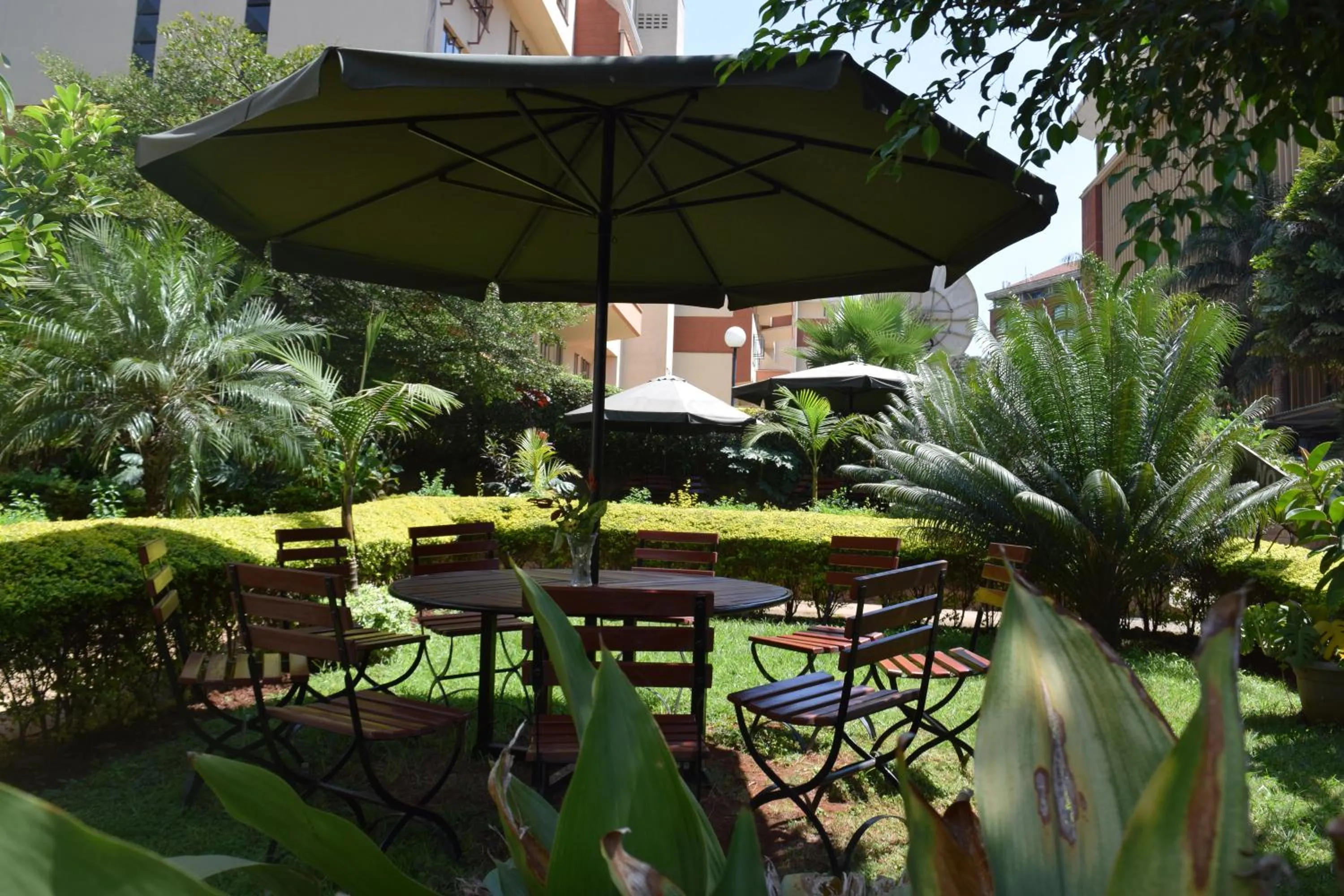 Garden in ACK Guest House Nairobi