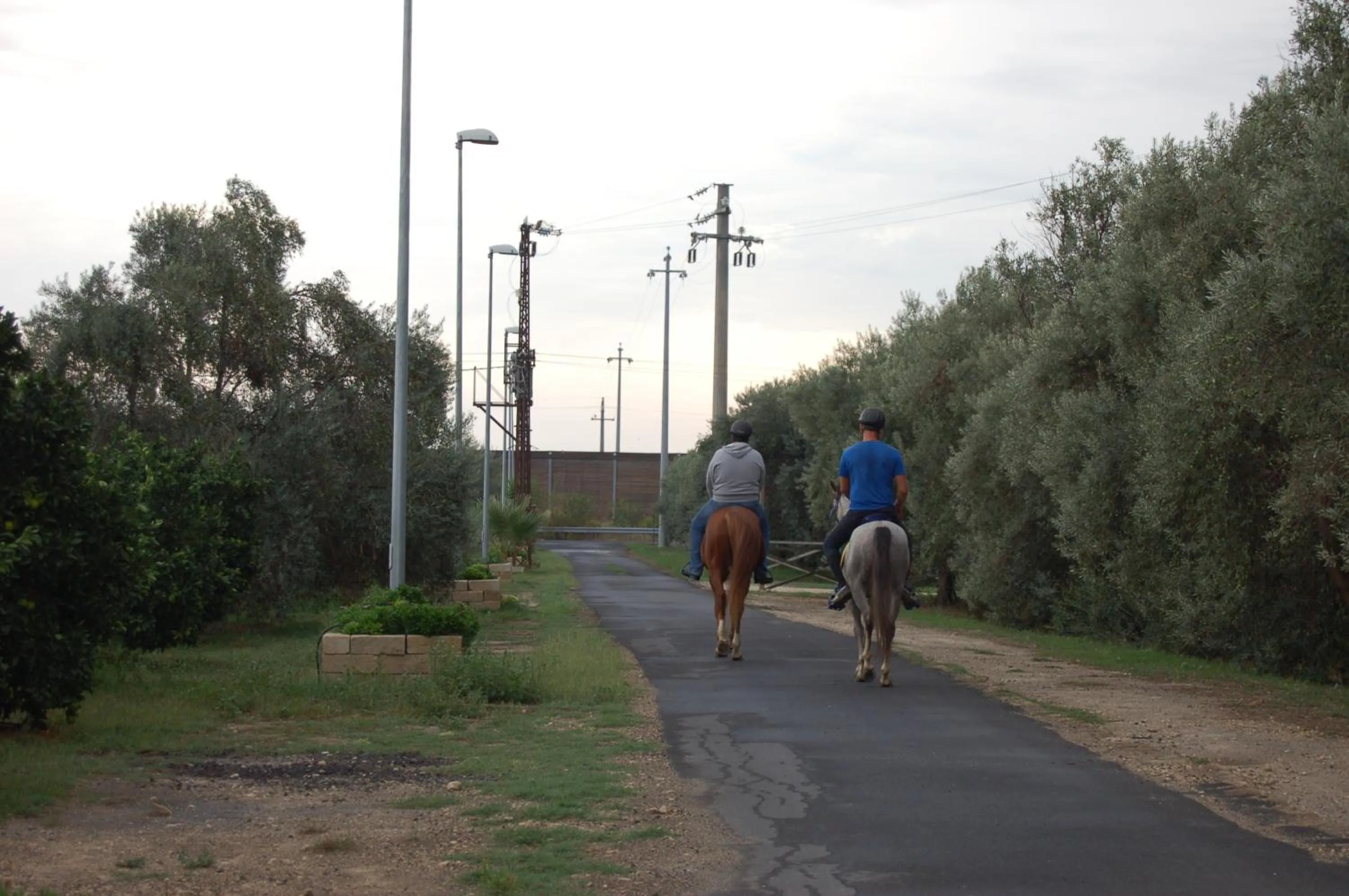 Garden in Il Giardino Del Sole