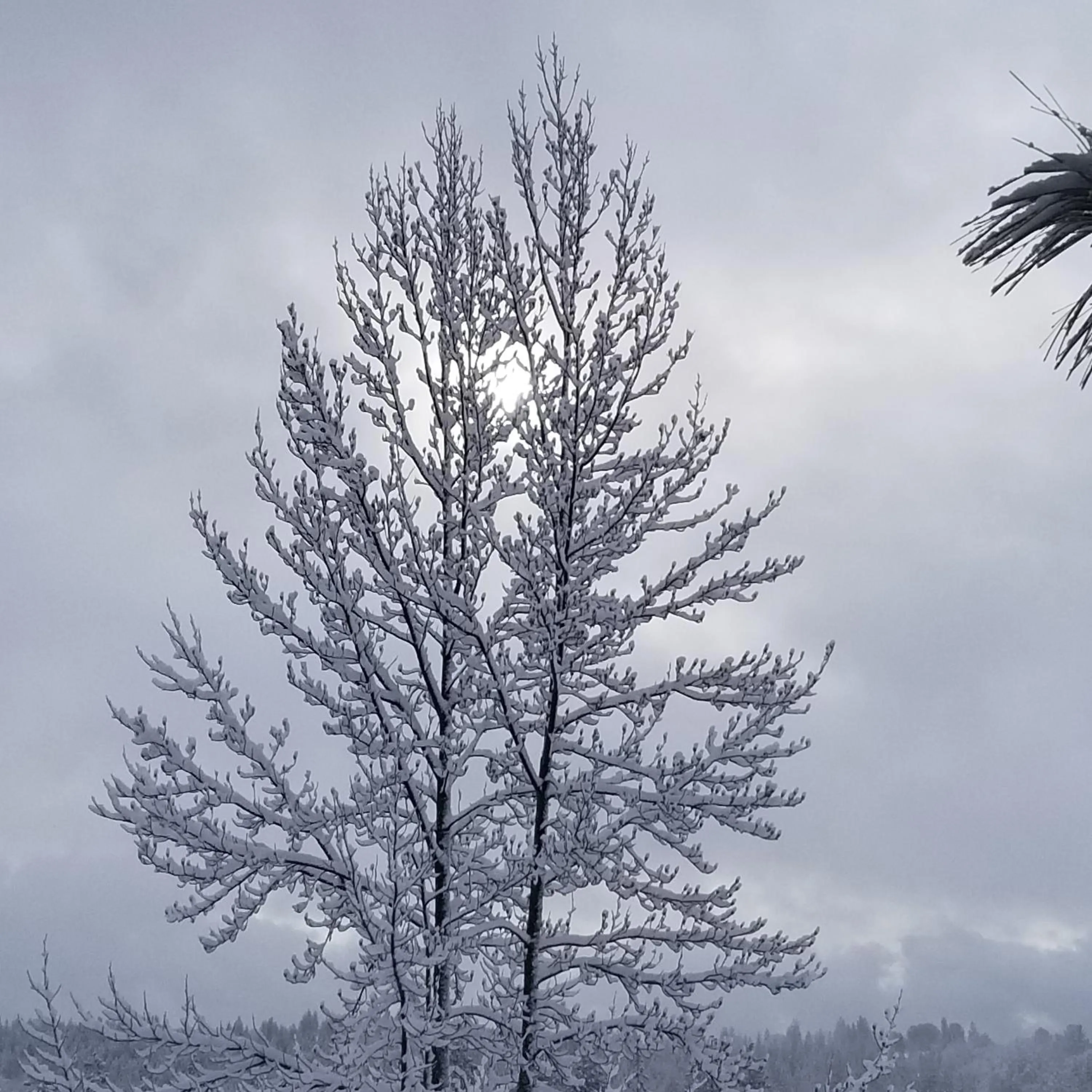 View (from property/room) in The Davies Family Inn