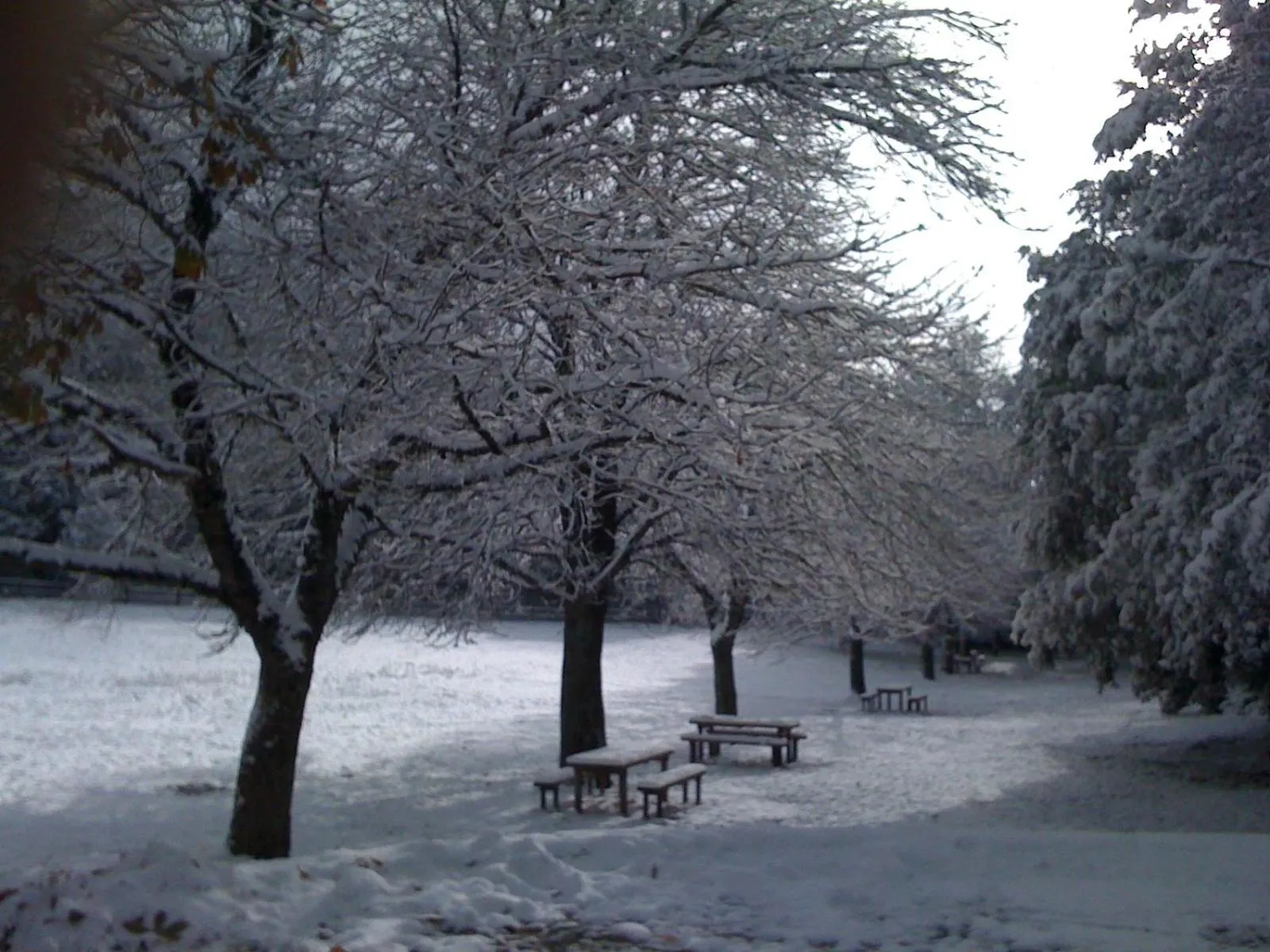 Area and facilities in Albergo Ristorante Ferretti
