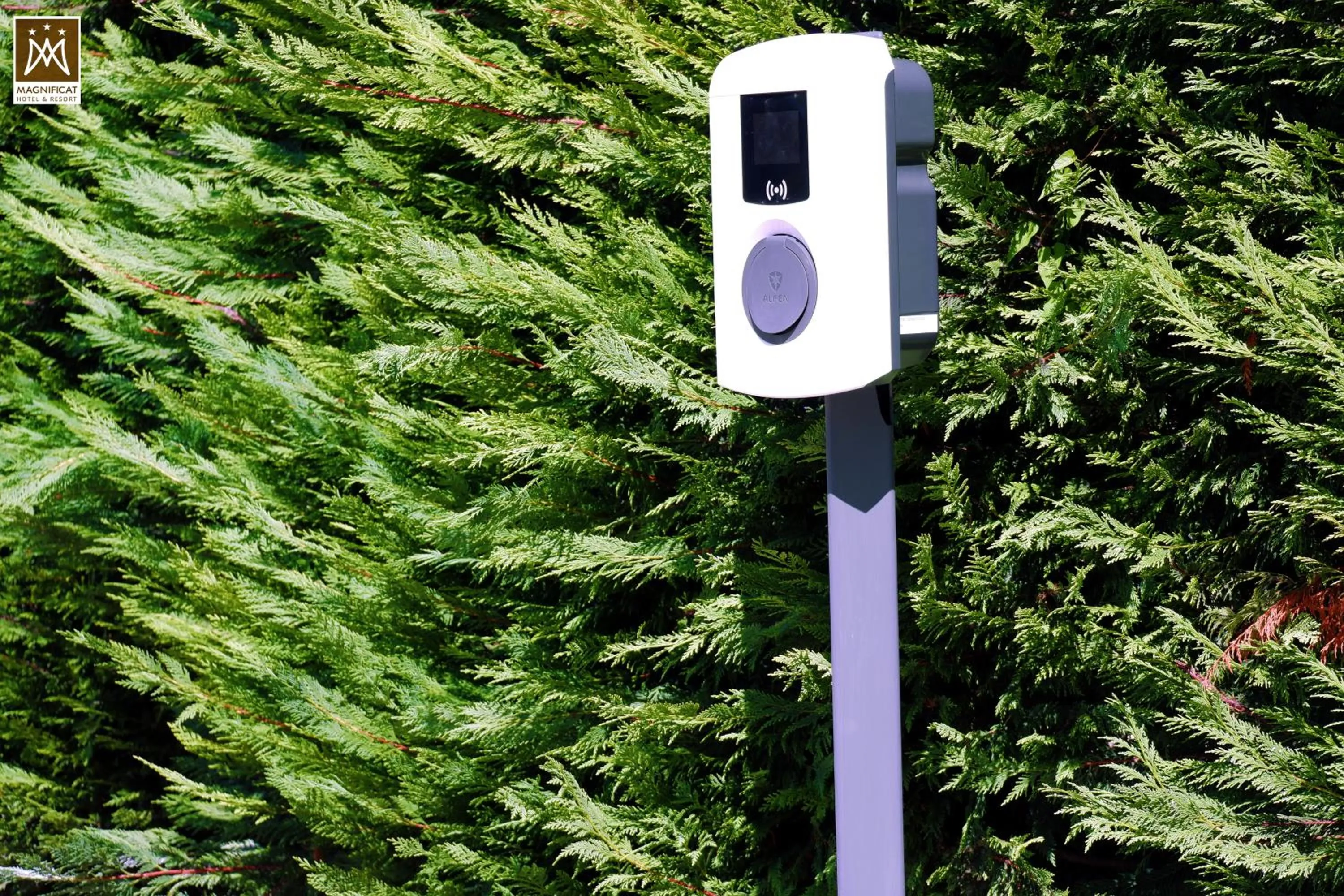 Area and facilities in Magnificat Hotel&Resort