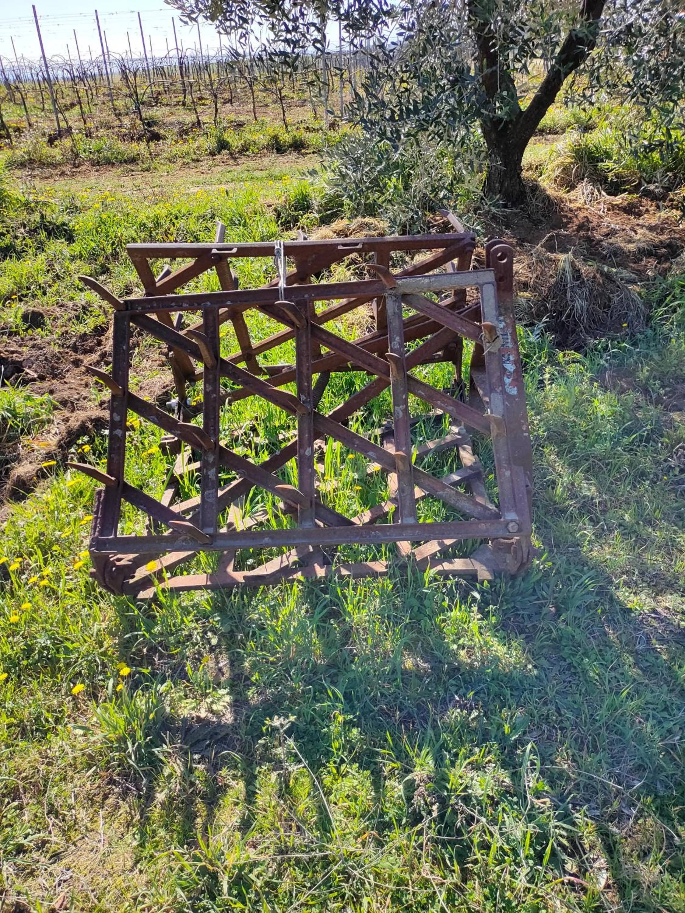 Property building in Casa Vacanza Malescale