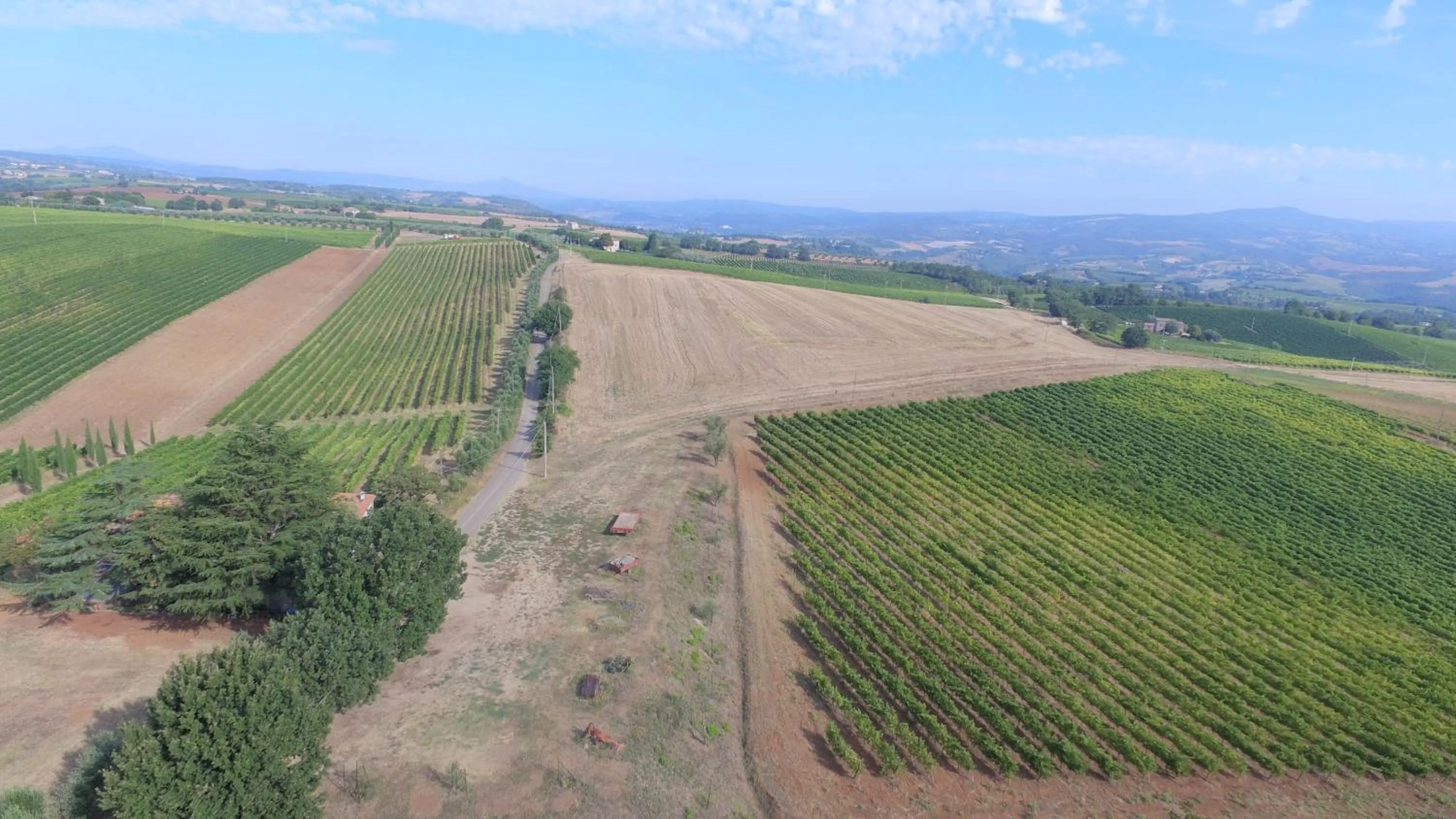 Bird's eye view in Casa Vacanza Malescale