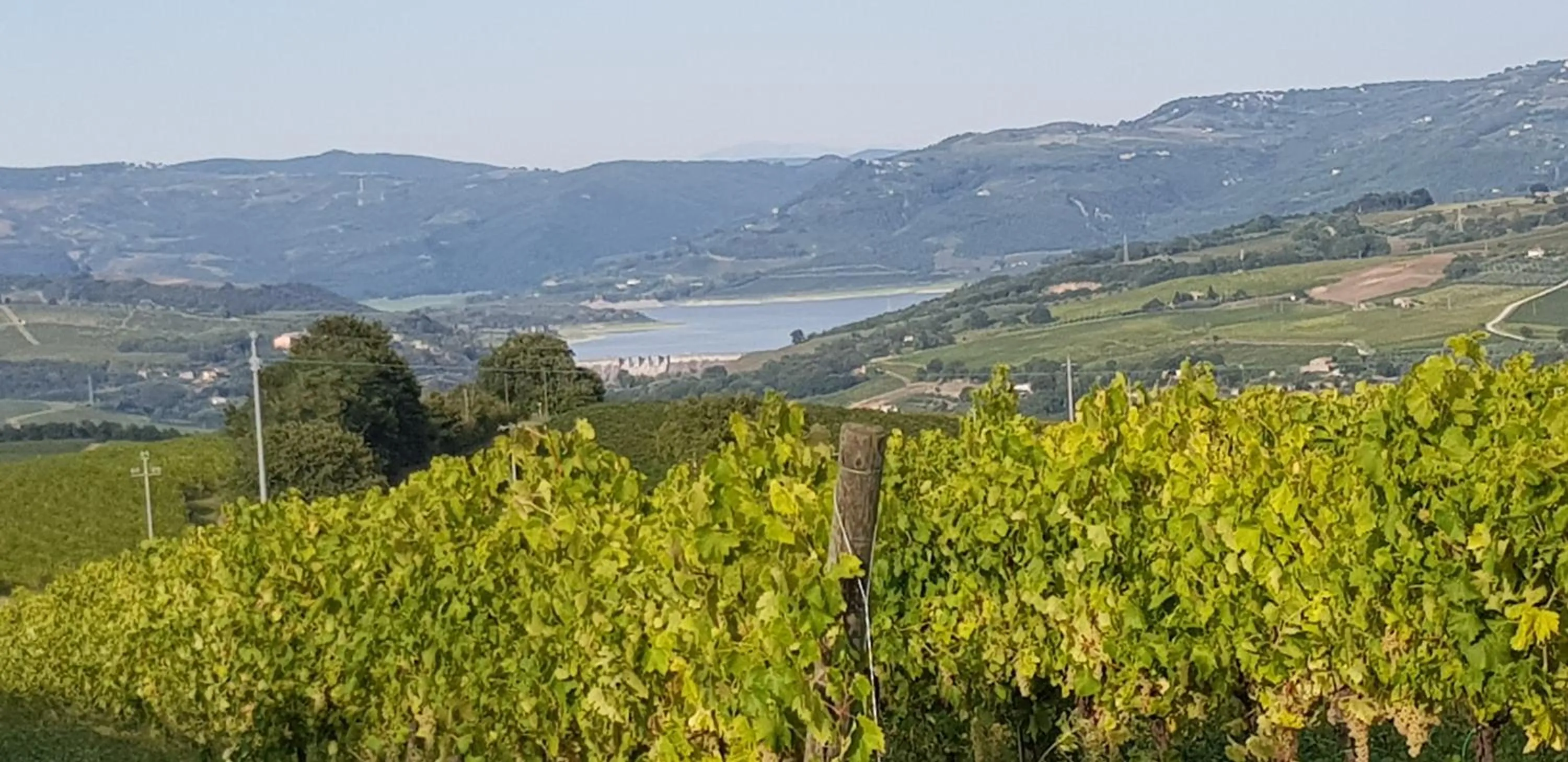 Property building in Casa Vacanza Malescale