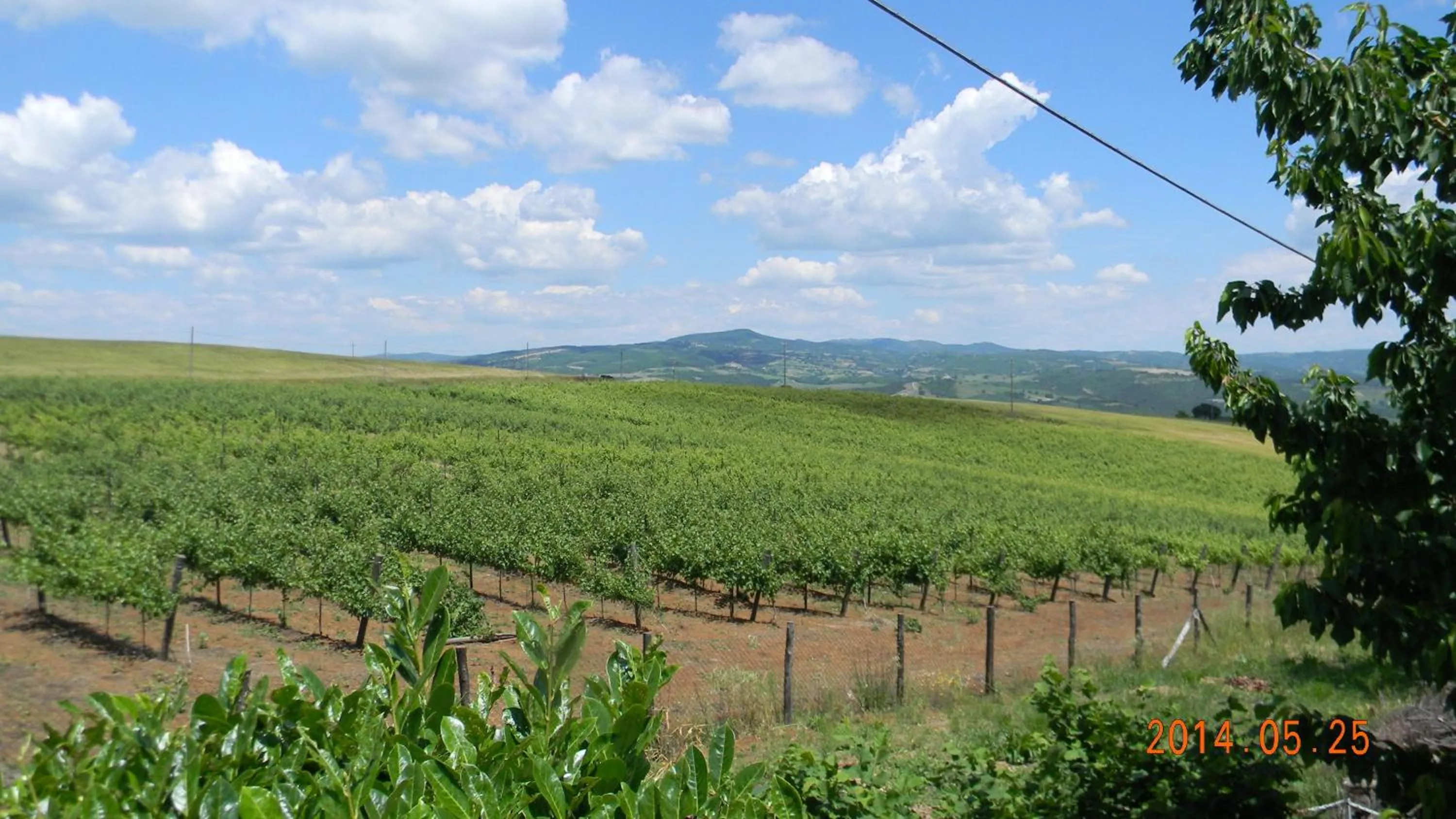 View (from property/room) in Casa Vacanza Malescale
